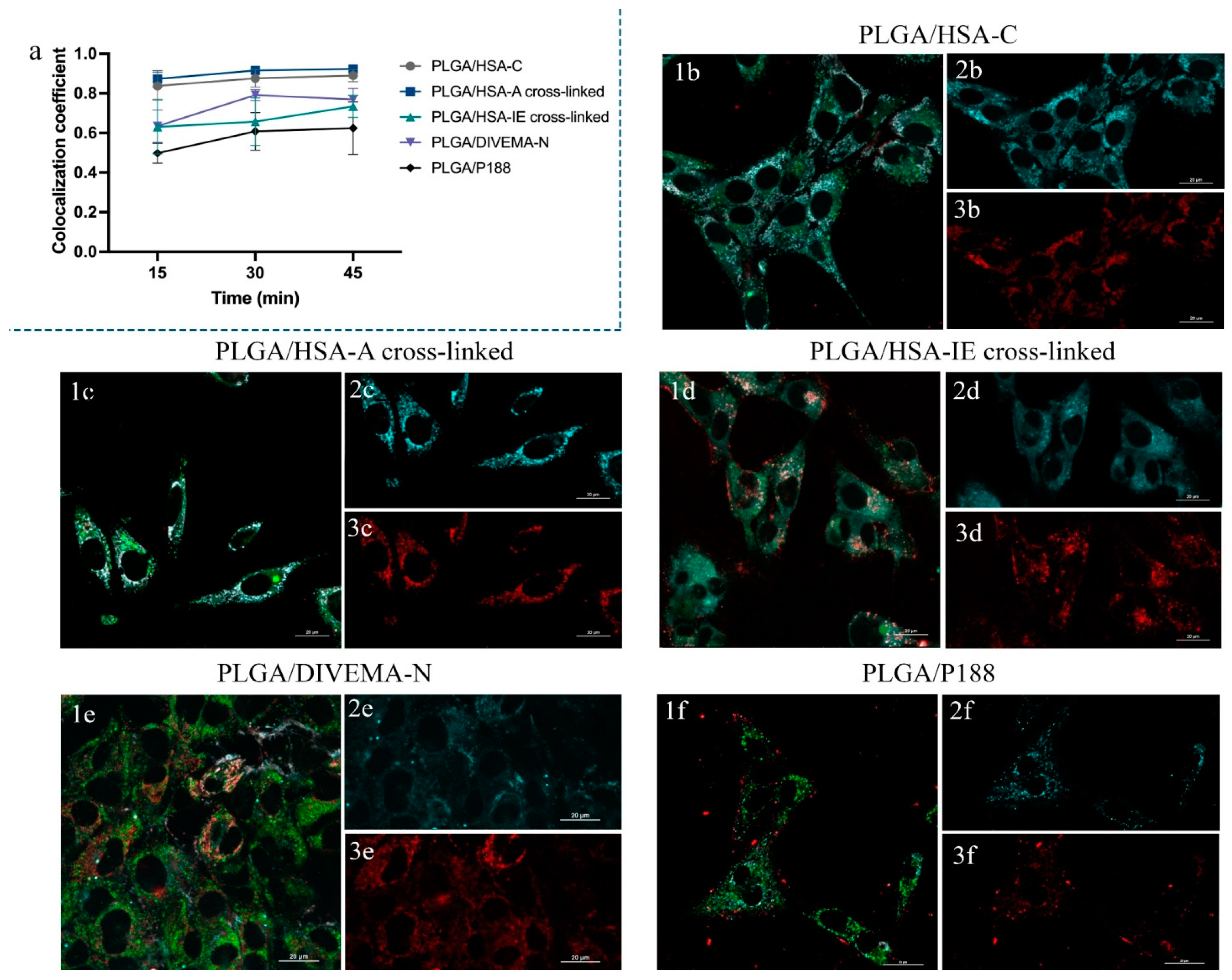 Biomolecules 14 01601 g007