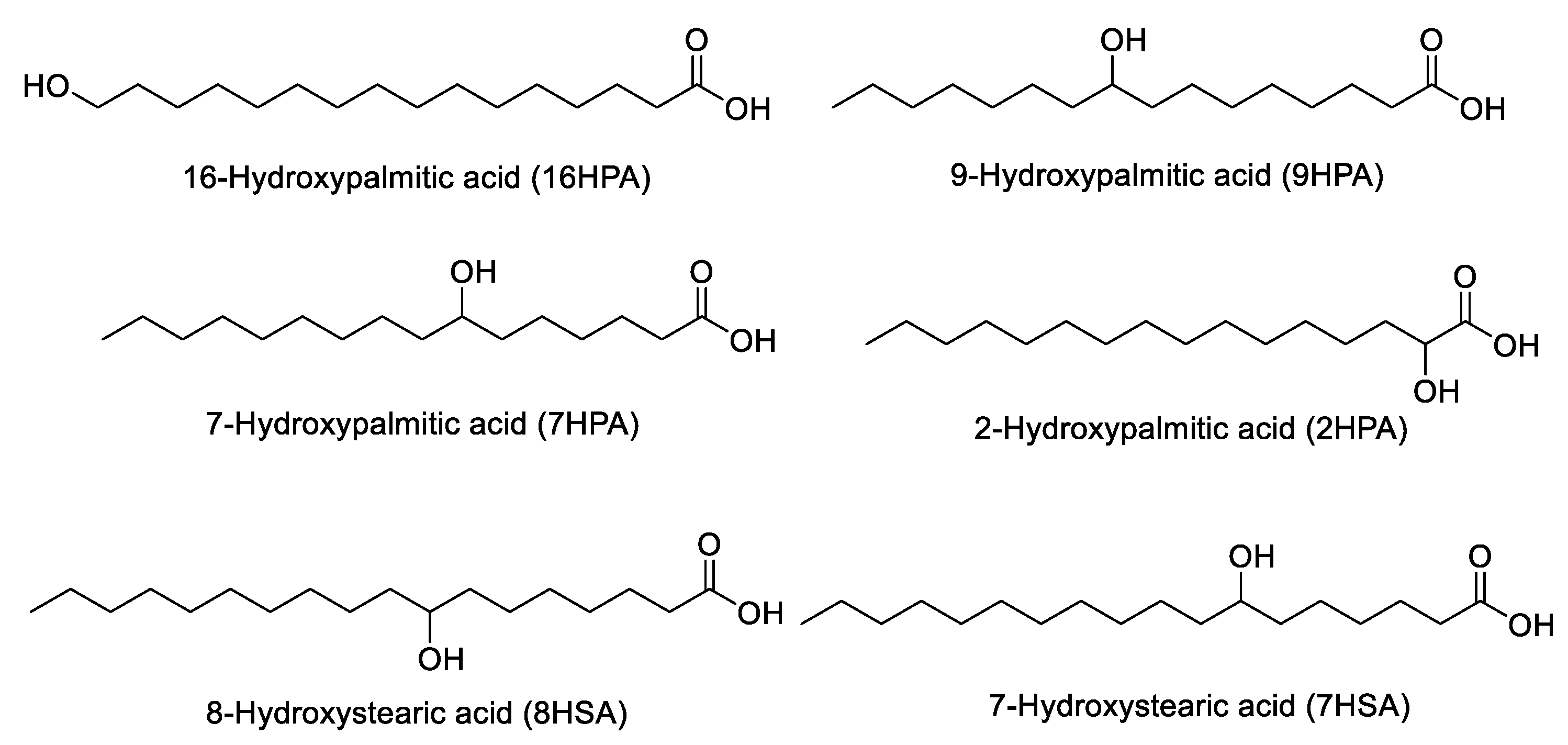 Biomolecules 14 01602 g007