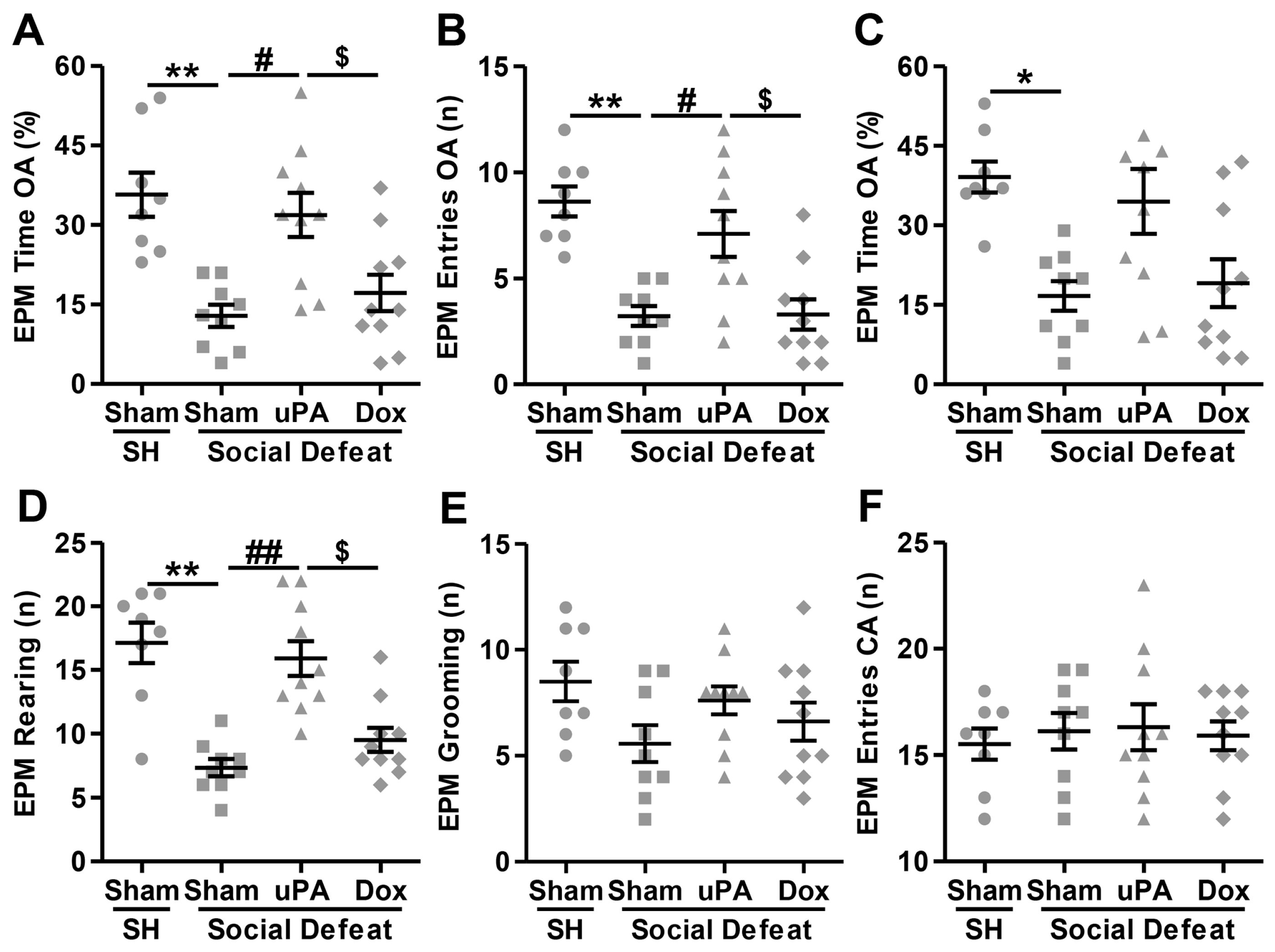 Biomolecules 14 01603 g004
