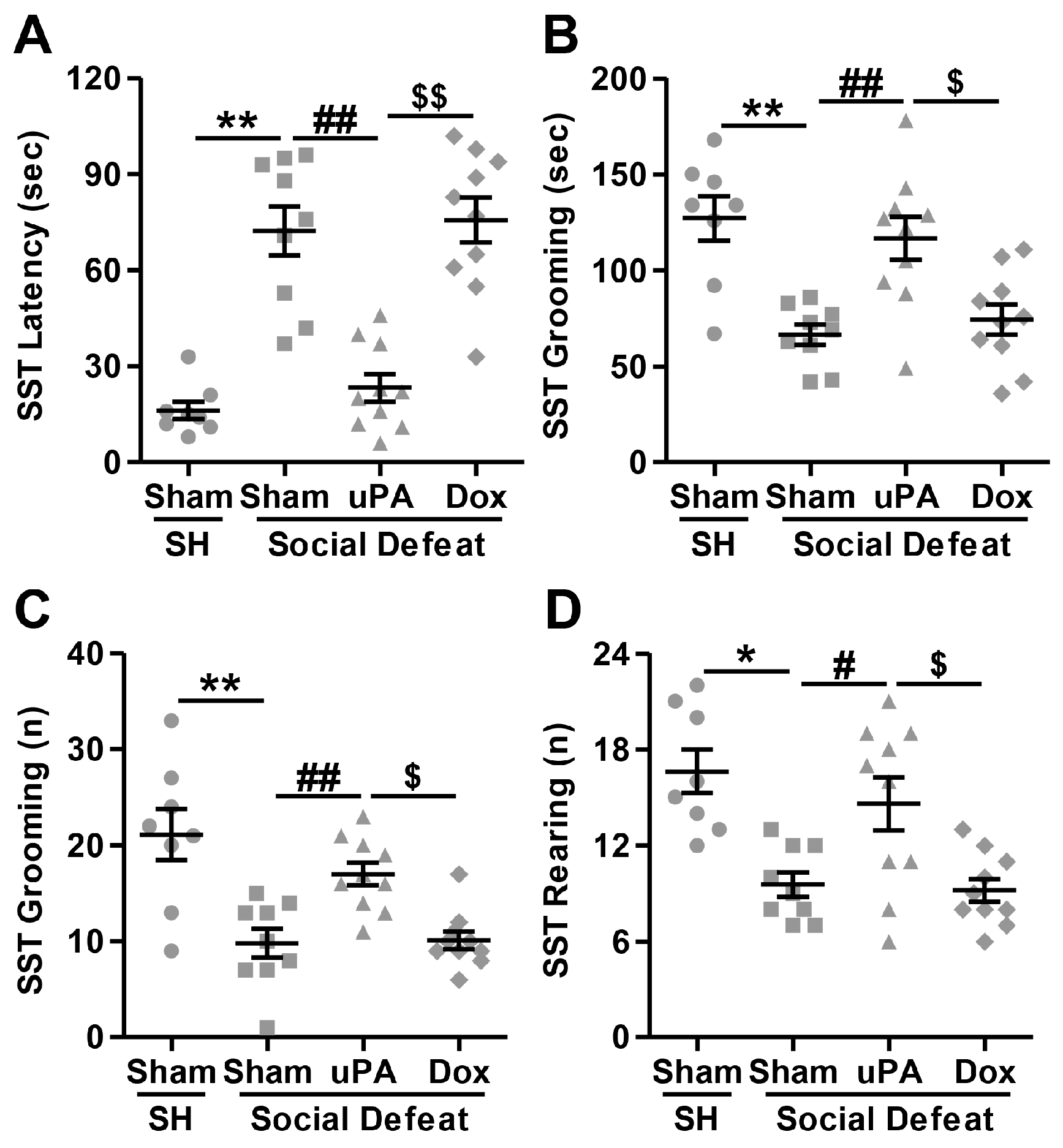 Biomolecules 14 01603 g005