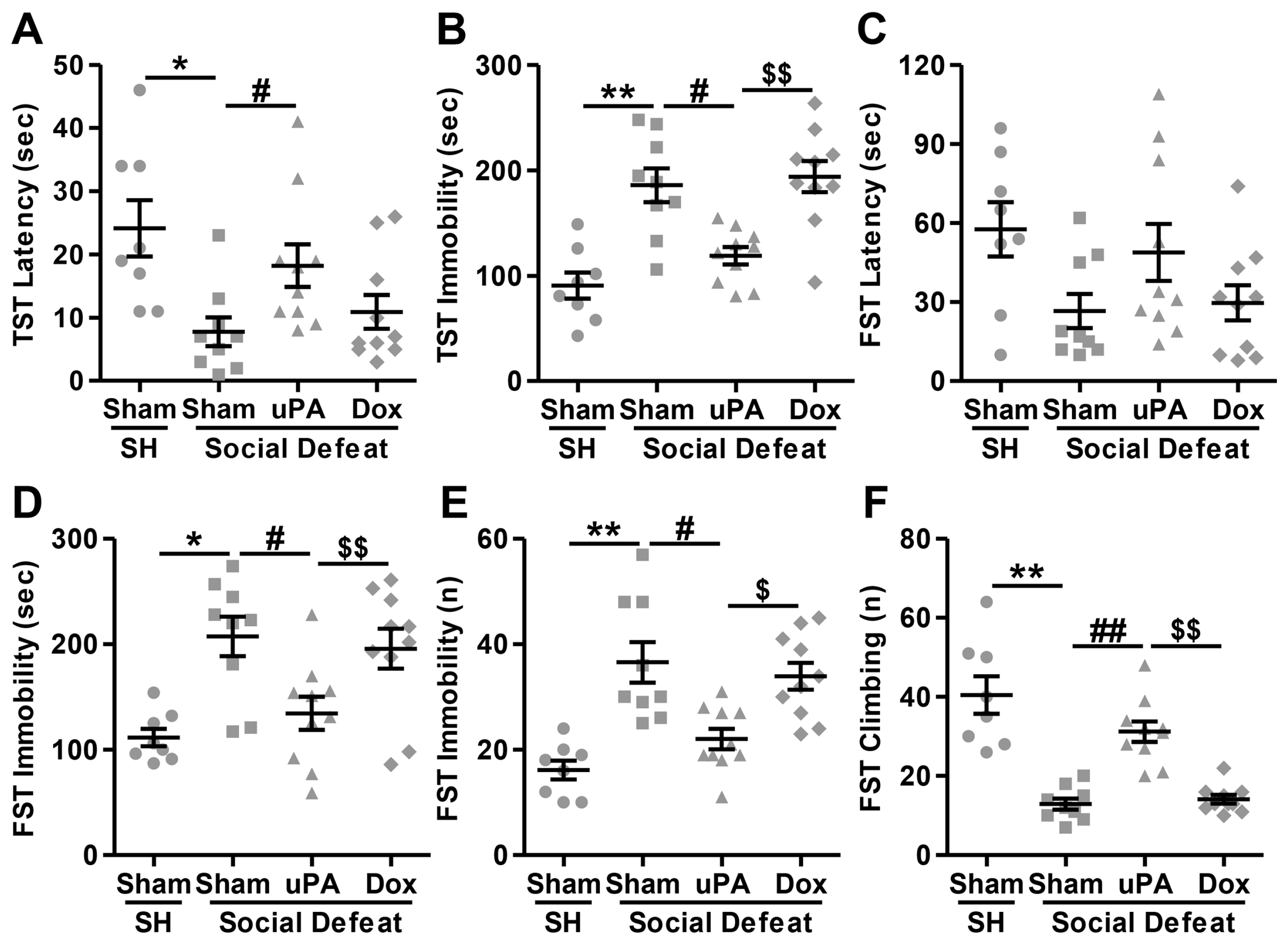 Biomolecules 14 01603 g006