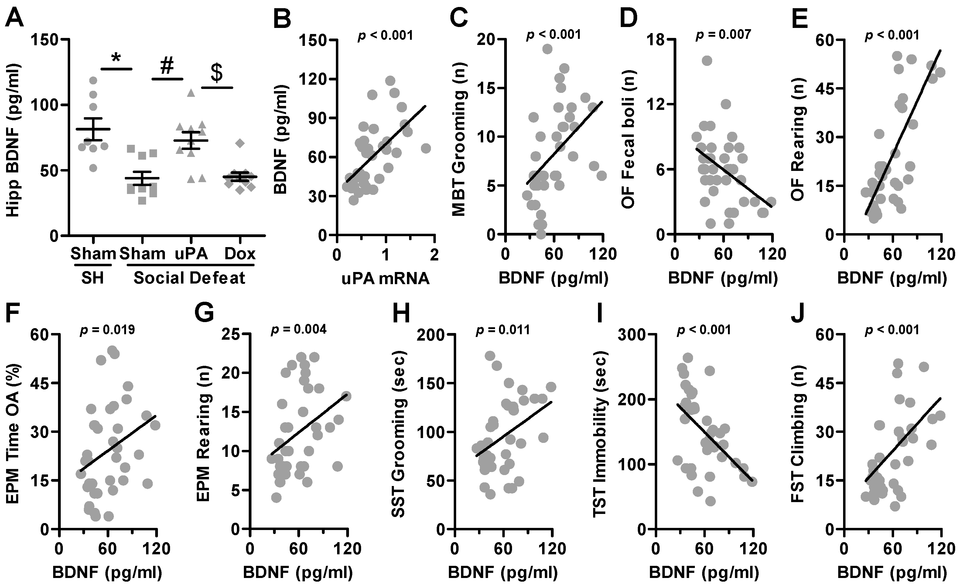 Biomolecules 14 01603 g008