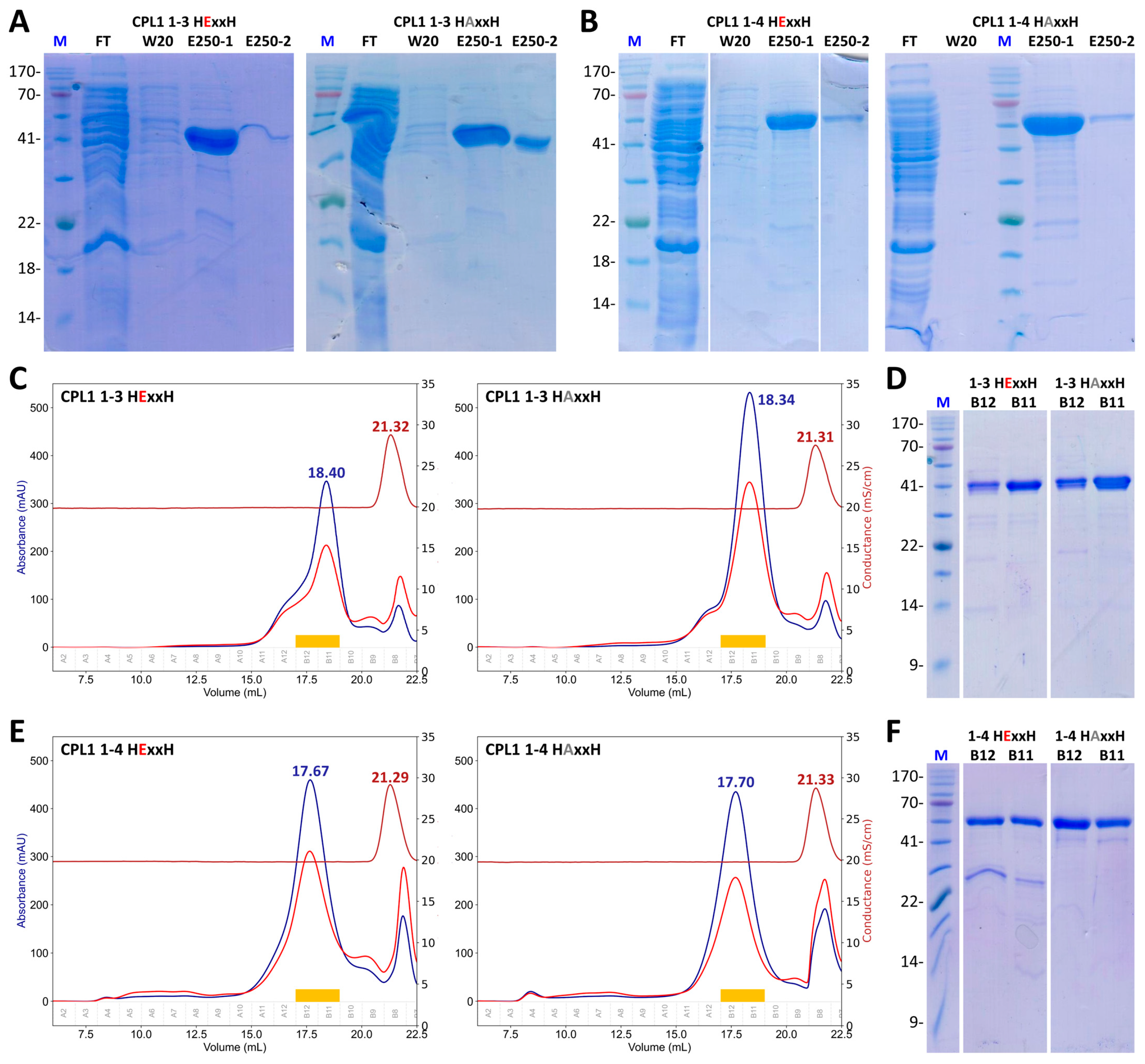 Biomolecules 14 01604 g003
