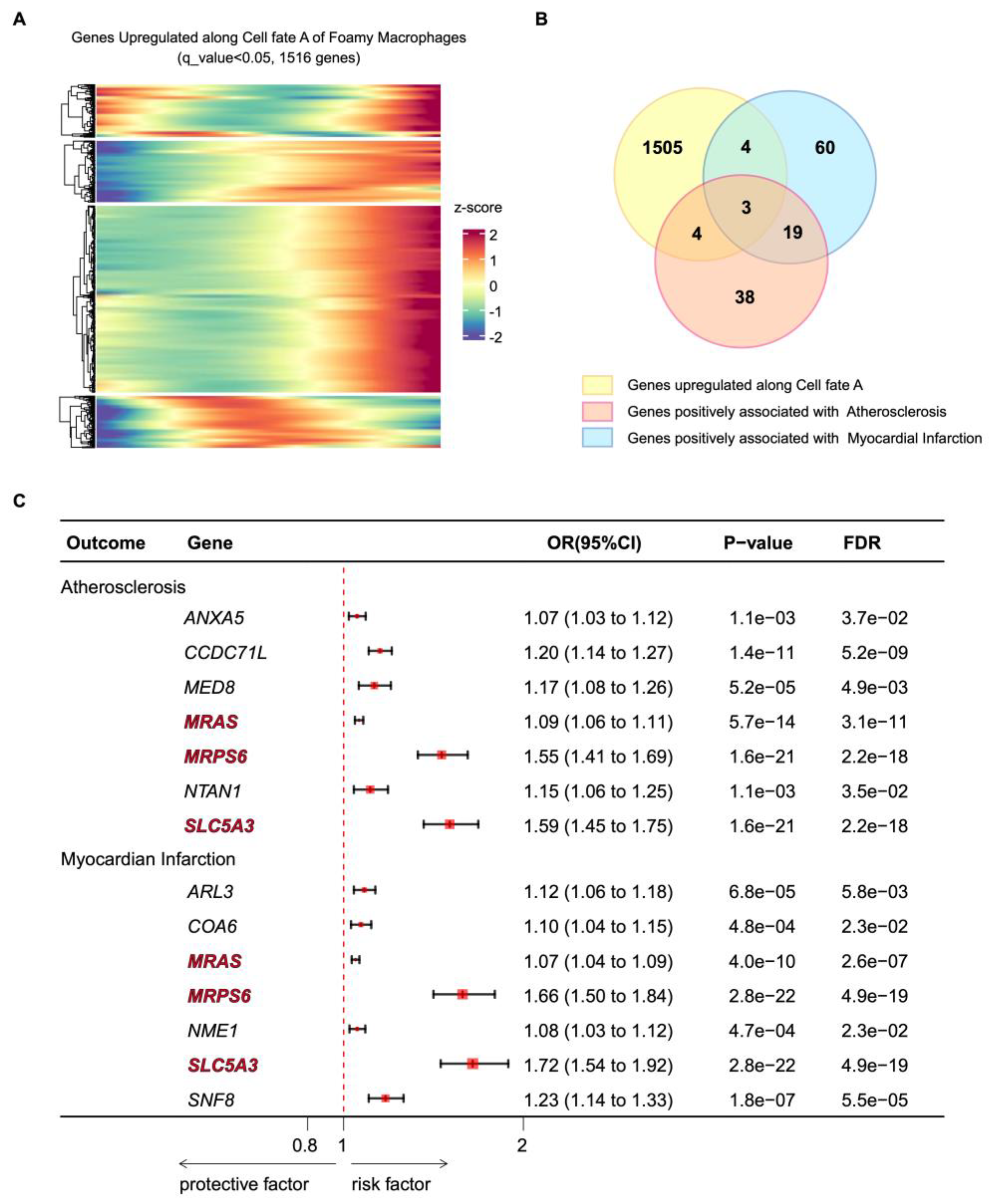 Biomolecules 14 01606 g007