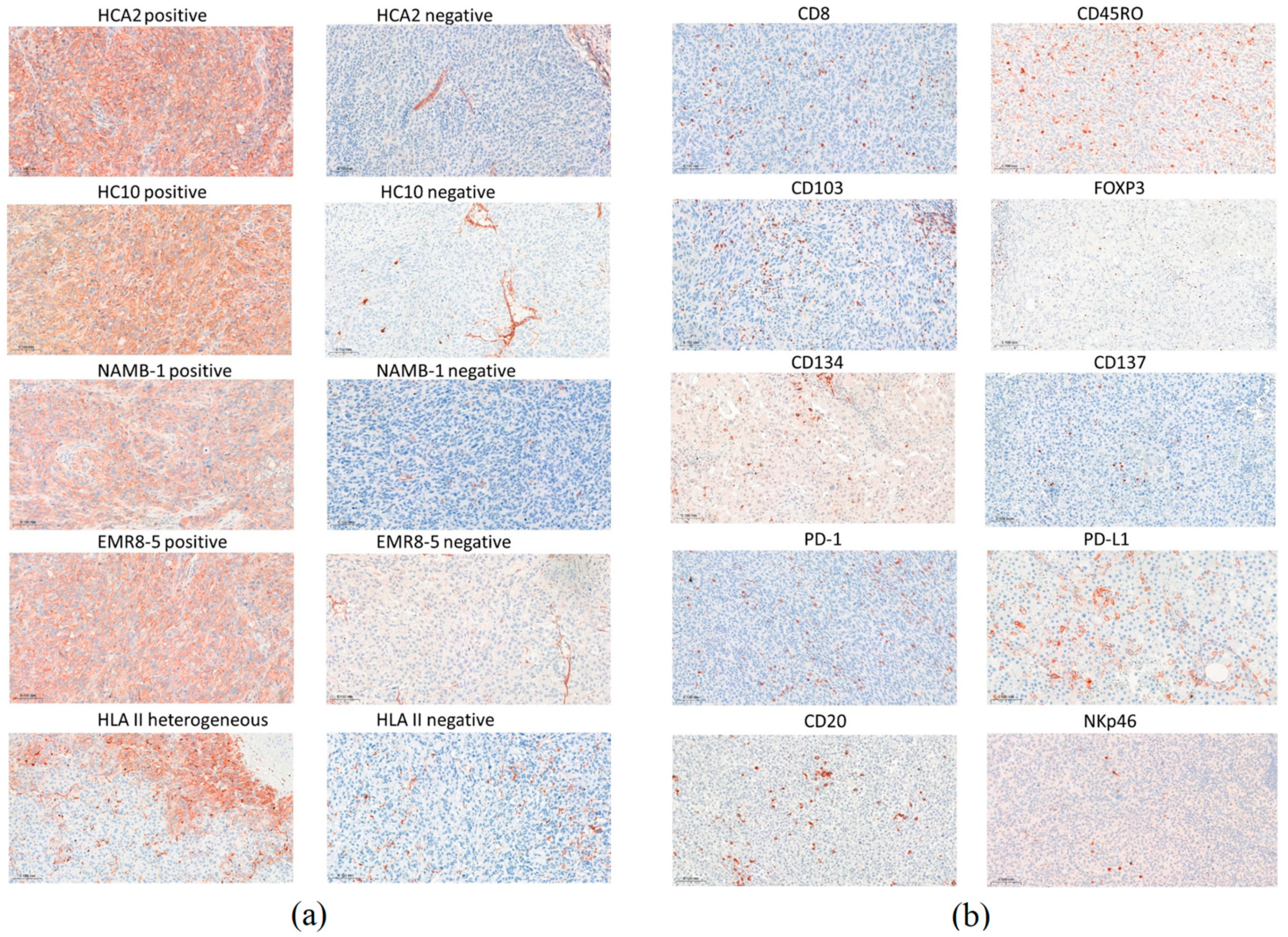 Biomolecules 14 01609 g001