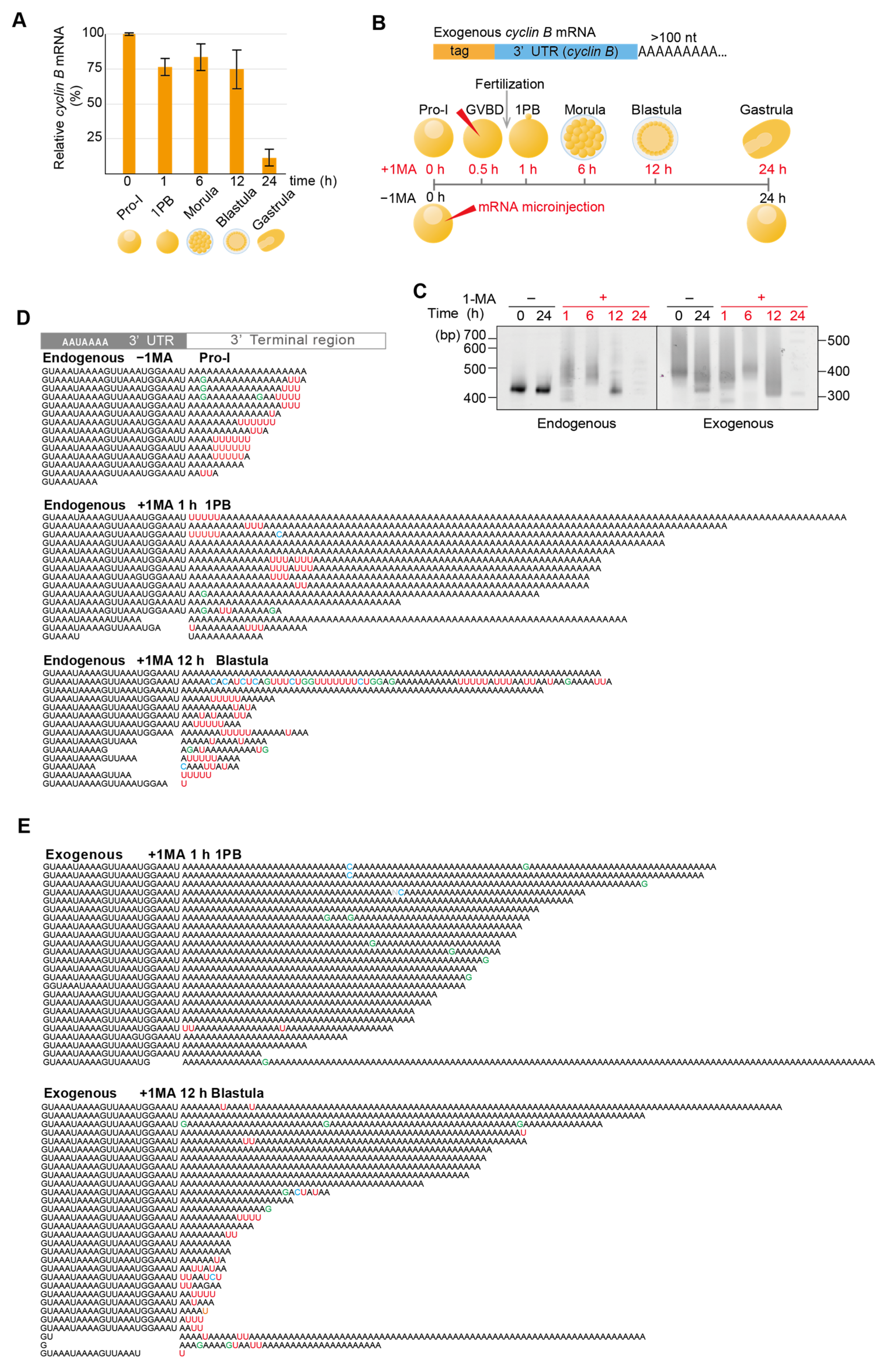 Biomolecules 14 01610 g001