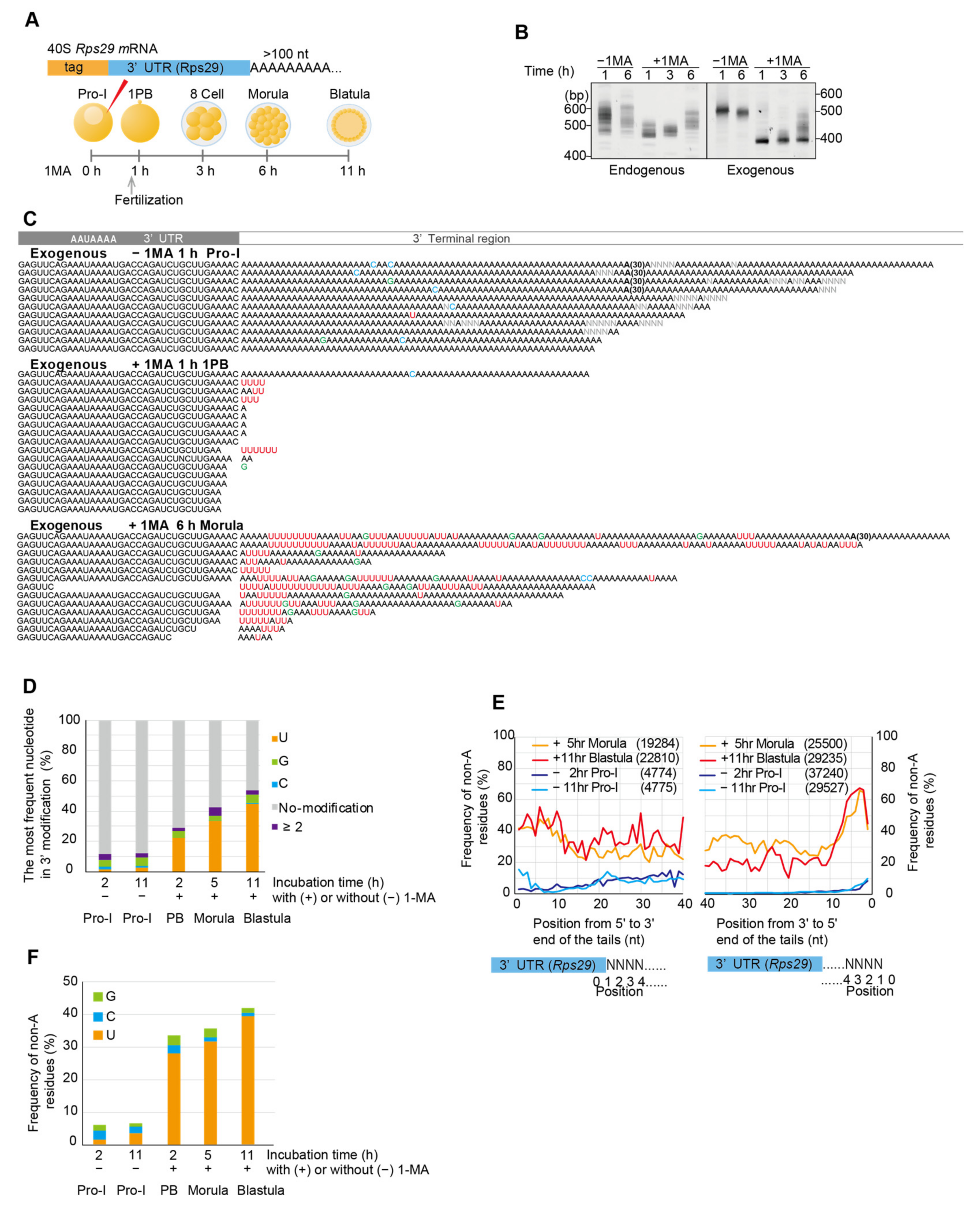 Biomolecules 14 01610 g004