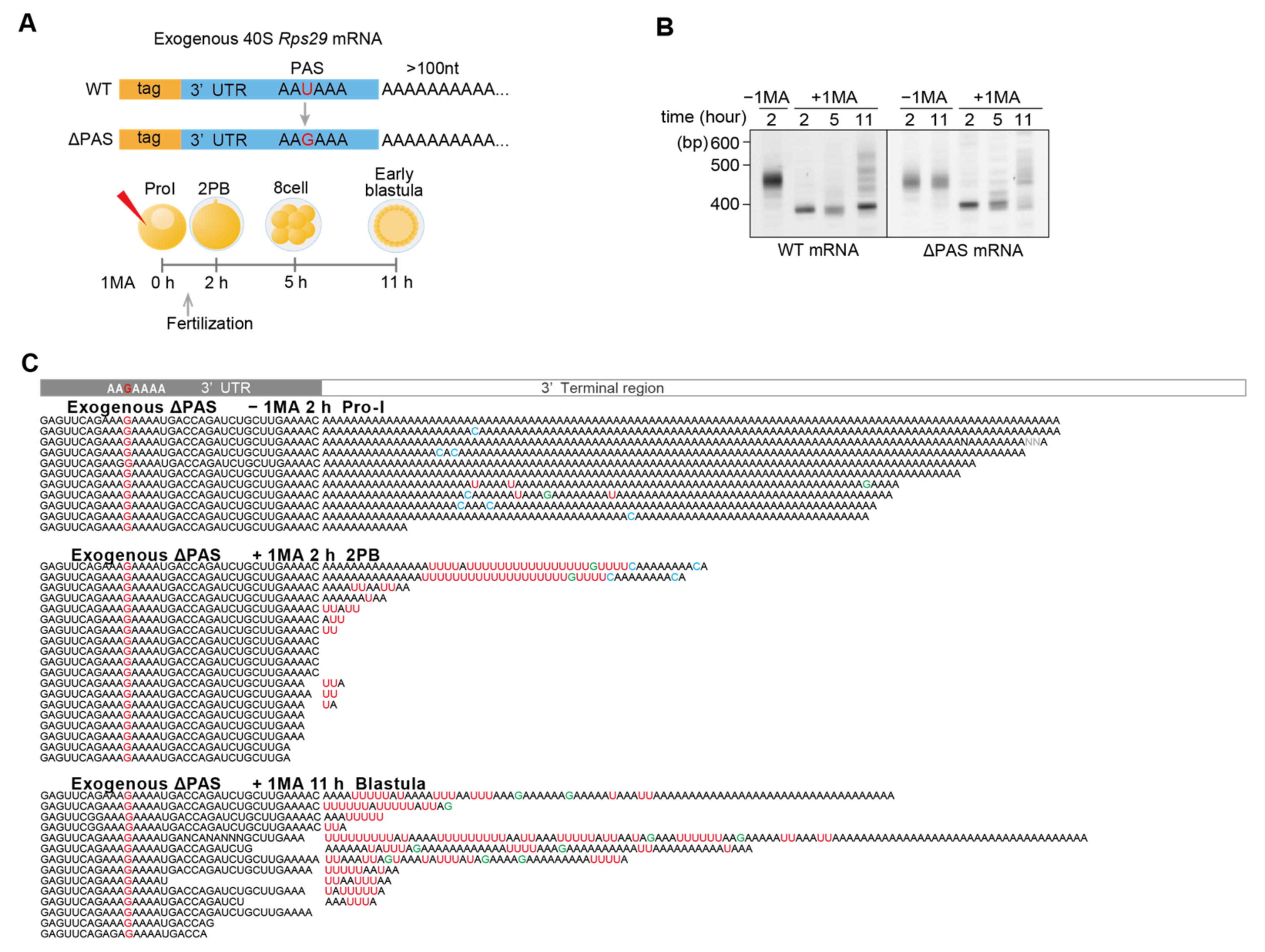 Biomolecules 14 01610 g005