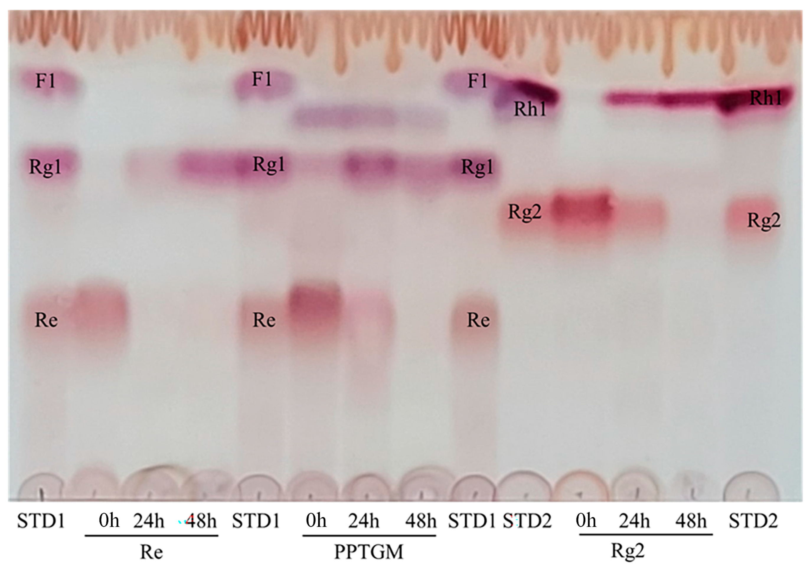 Biomolecules 14 01611 g004 Biomolecules 14 01611 g004