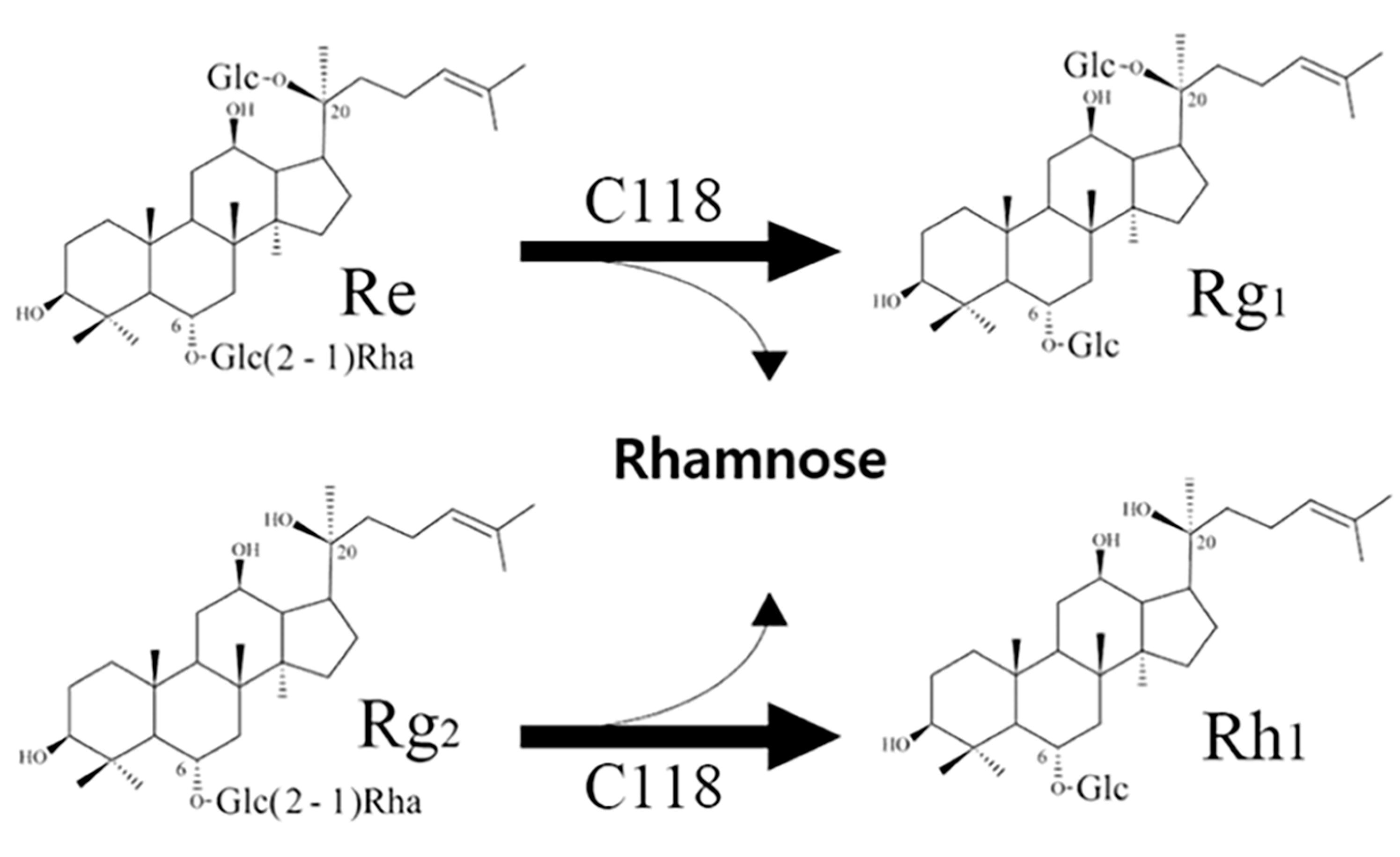 Biomolecules 14 01611 g005 Biomolecules 14 01611 g005