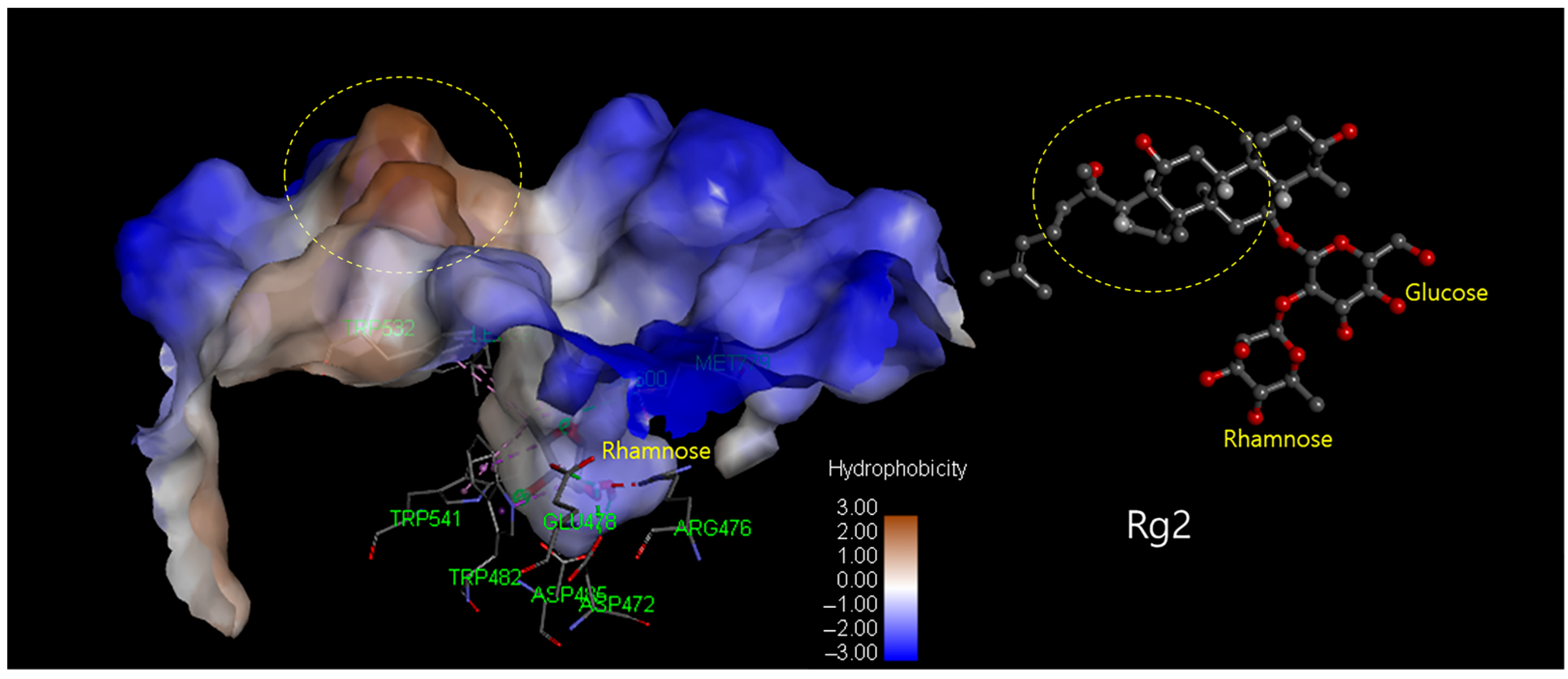 Biomolecules 14 01611 g010 Biomolecules 14 01611 g010