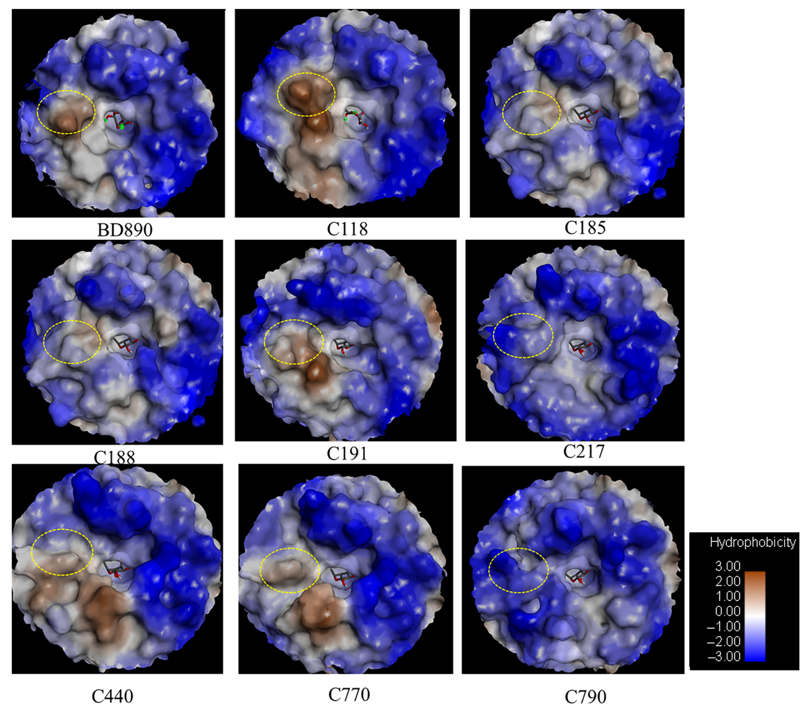 Biomolecules 14 01611 g011 Biomolecules 14 01611 g011