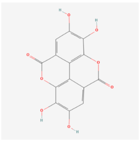 Biomolecules 14 01614 i007