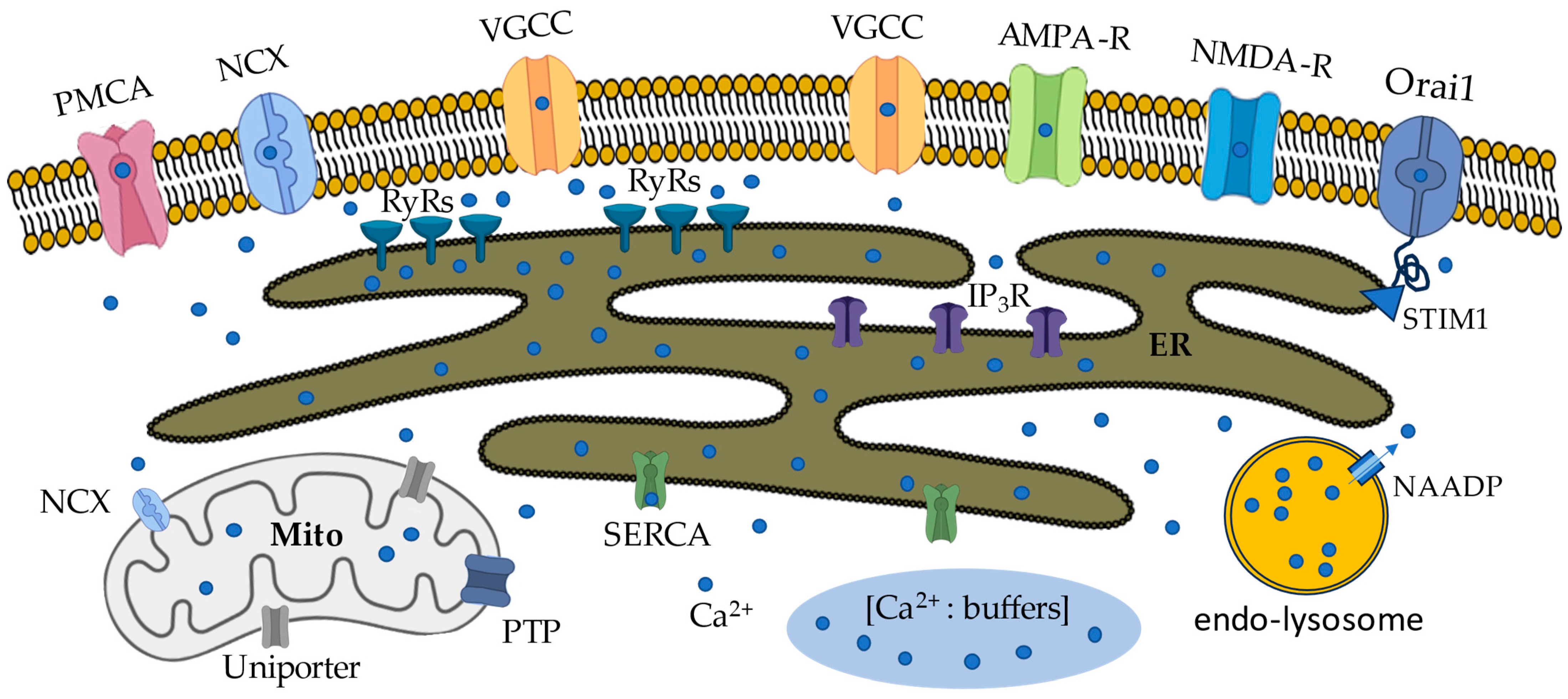 Biomolecules 14 01617 g001