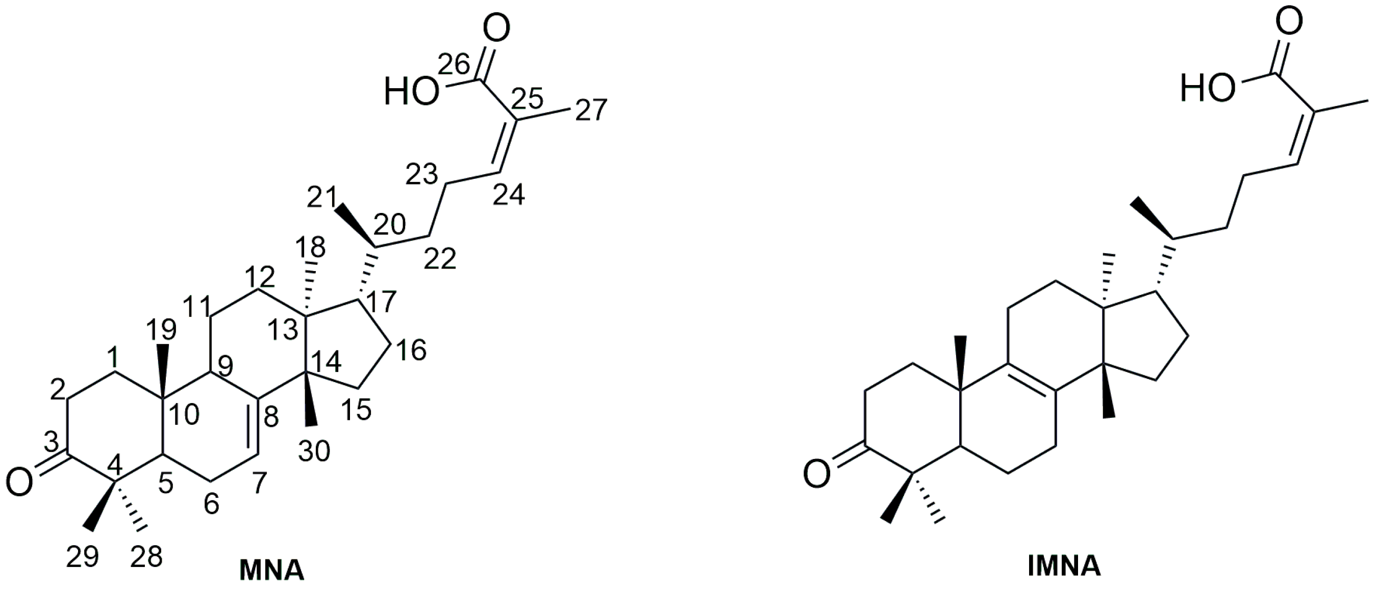 Biomolecules 14 01618 g001