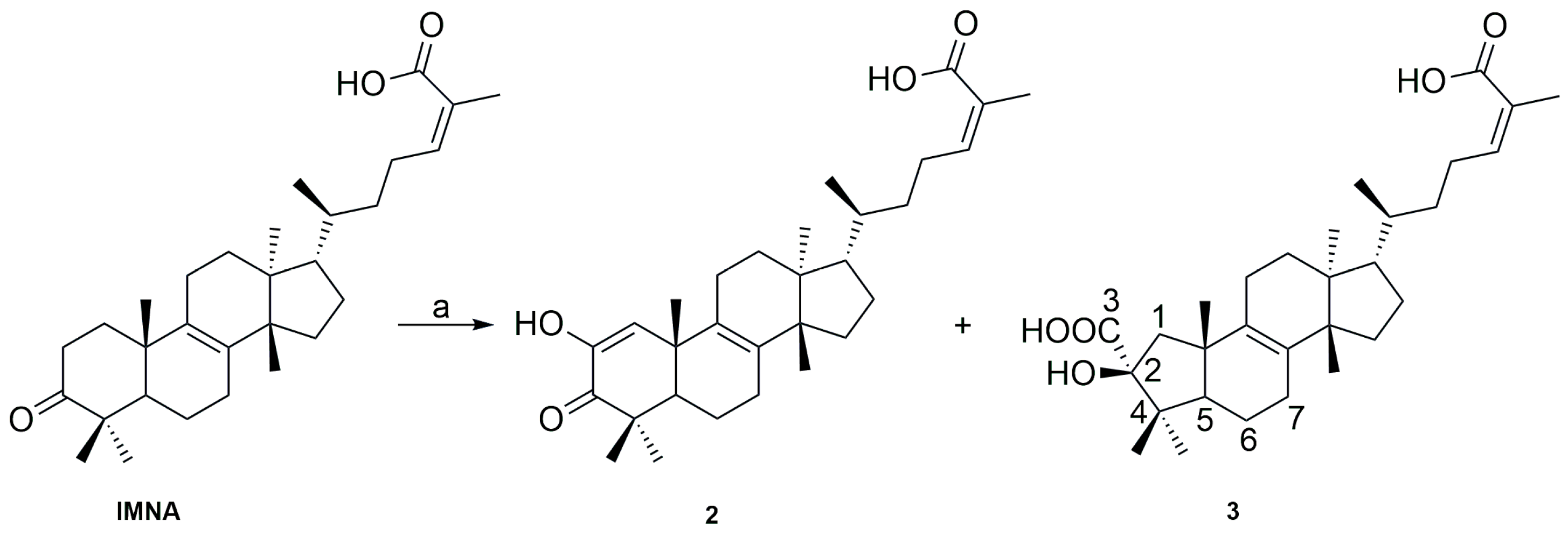 Biomolecules 14 01618 sch002