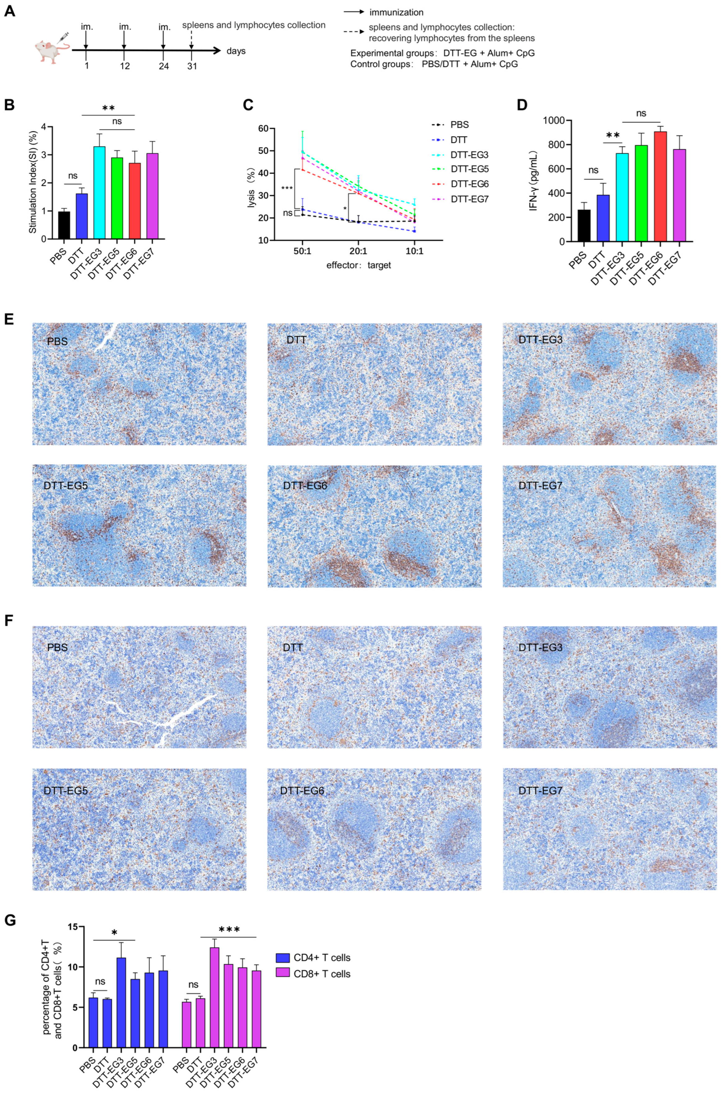Biomolecules 14 01620 g004