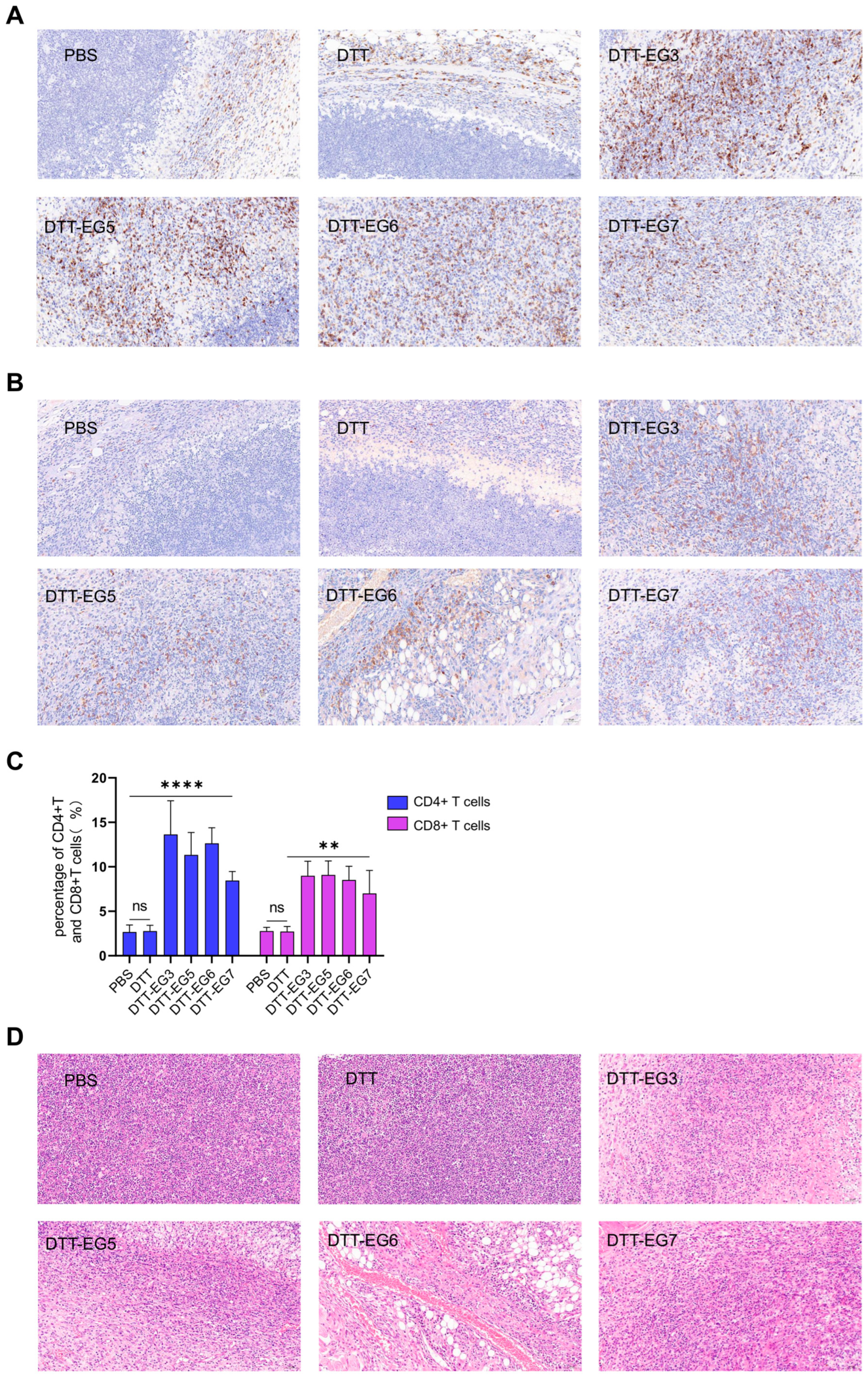 Biomolecules 14 01620 g006