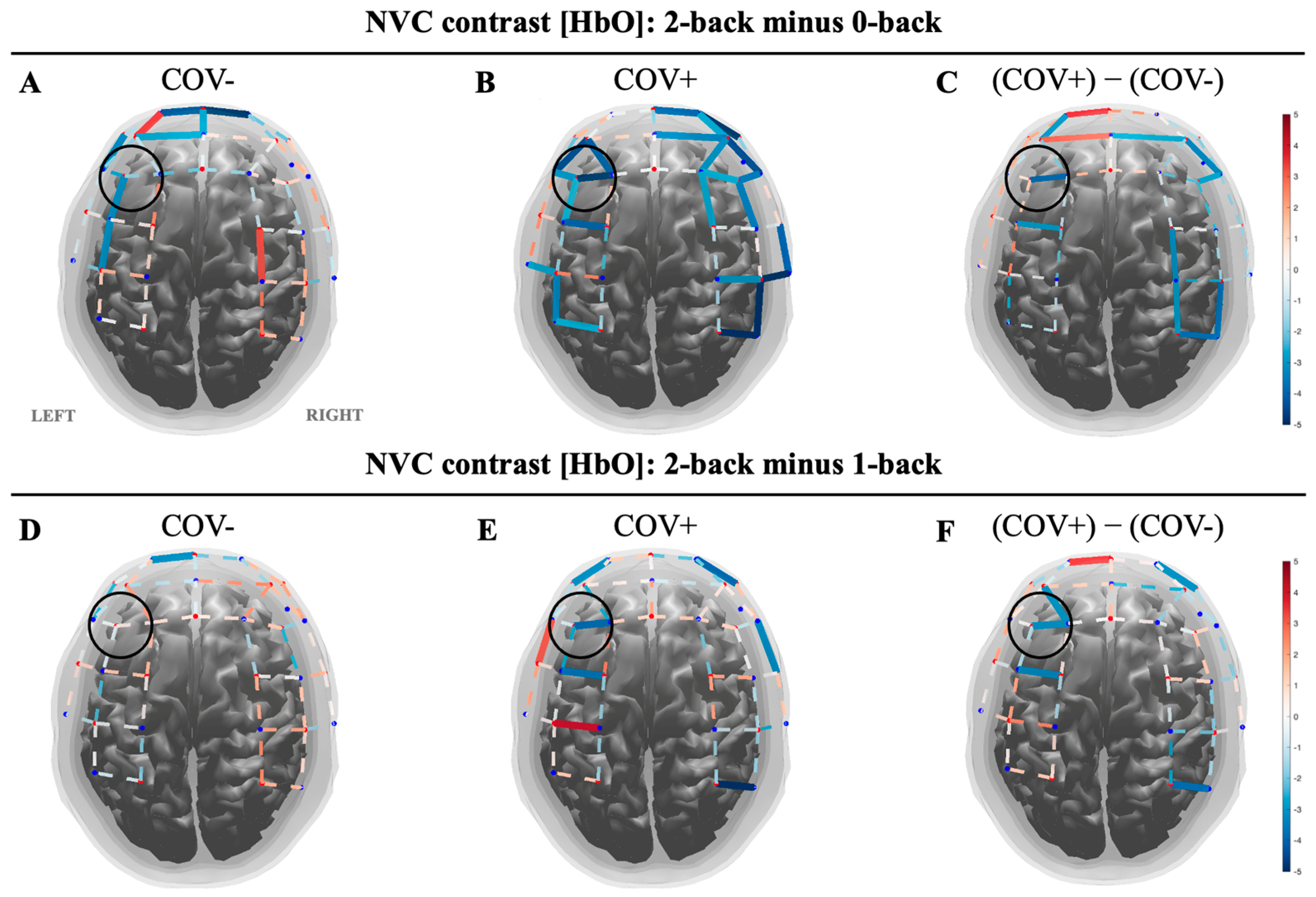Biomolecules 14 01621 g001