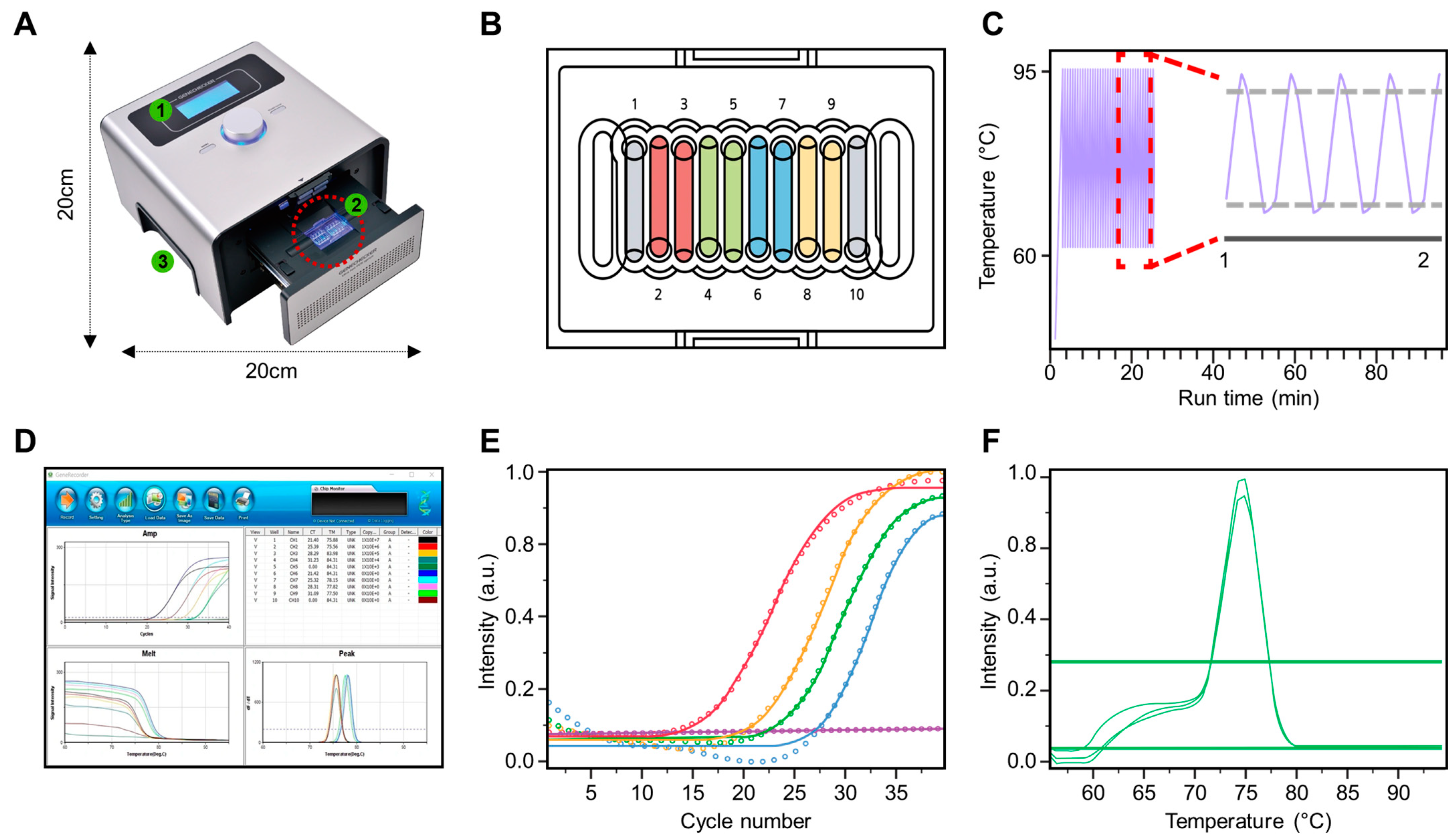 Biomolecules 14 01624 g001