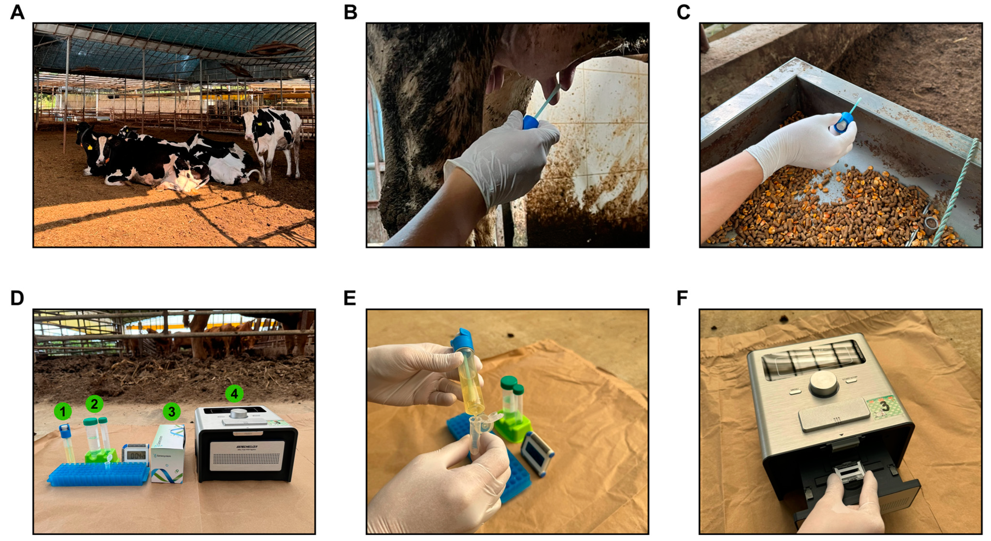 Biomolecules 14 01624 g006