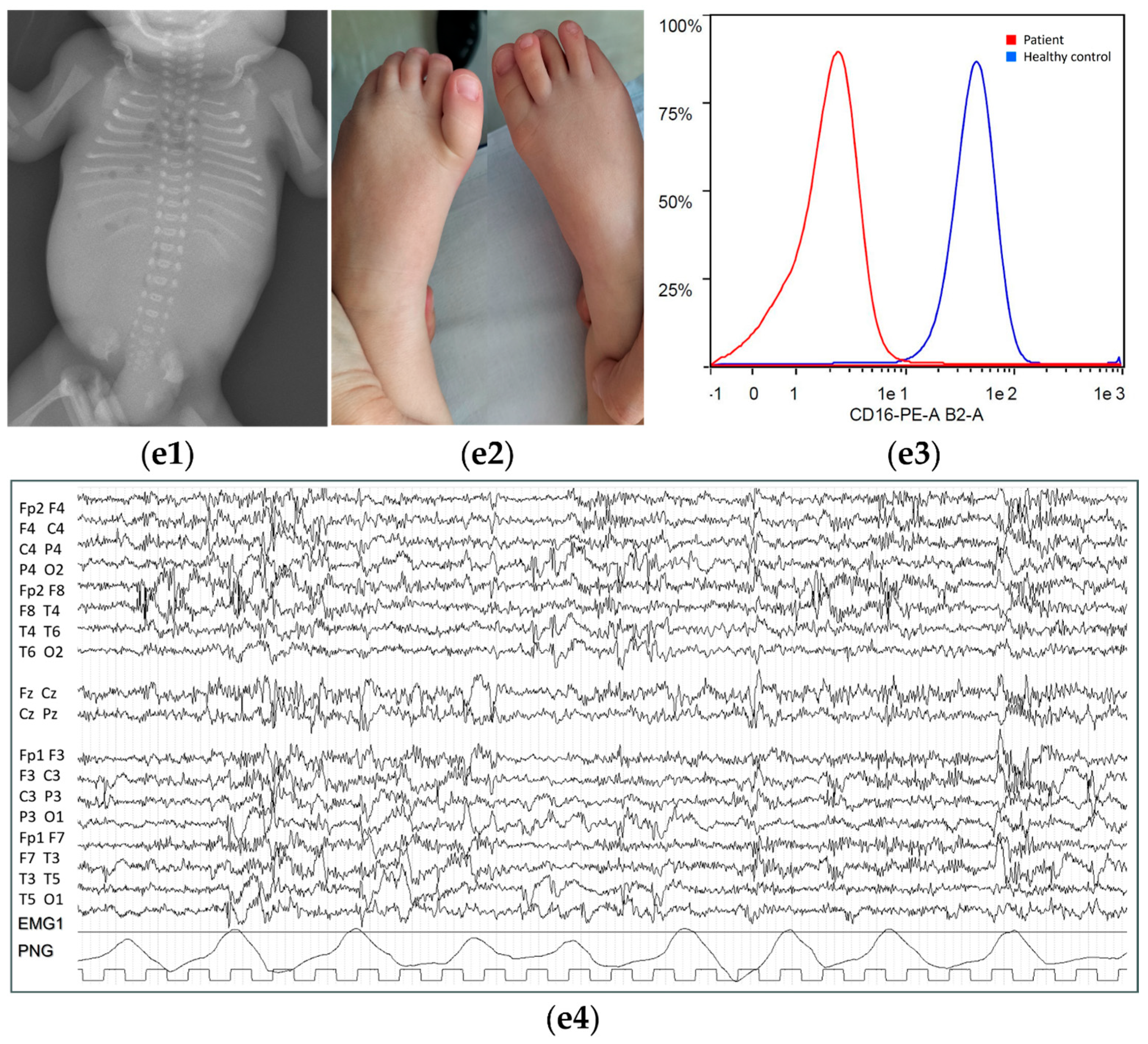 Biomolecules 14 01626 g001b