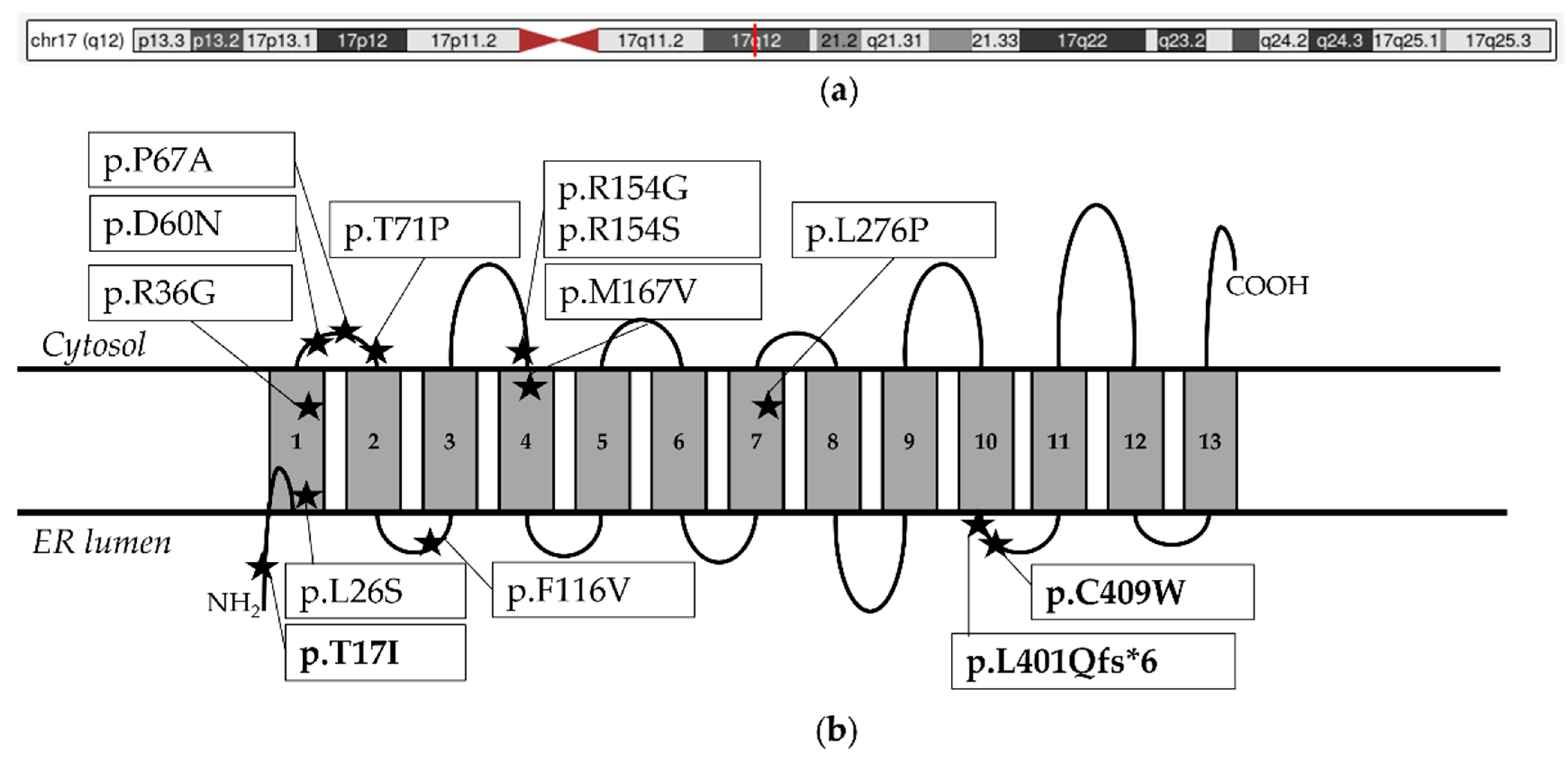 Biomolecules 14 01626 g002