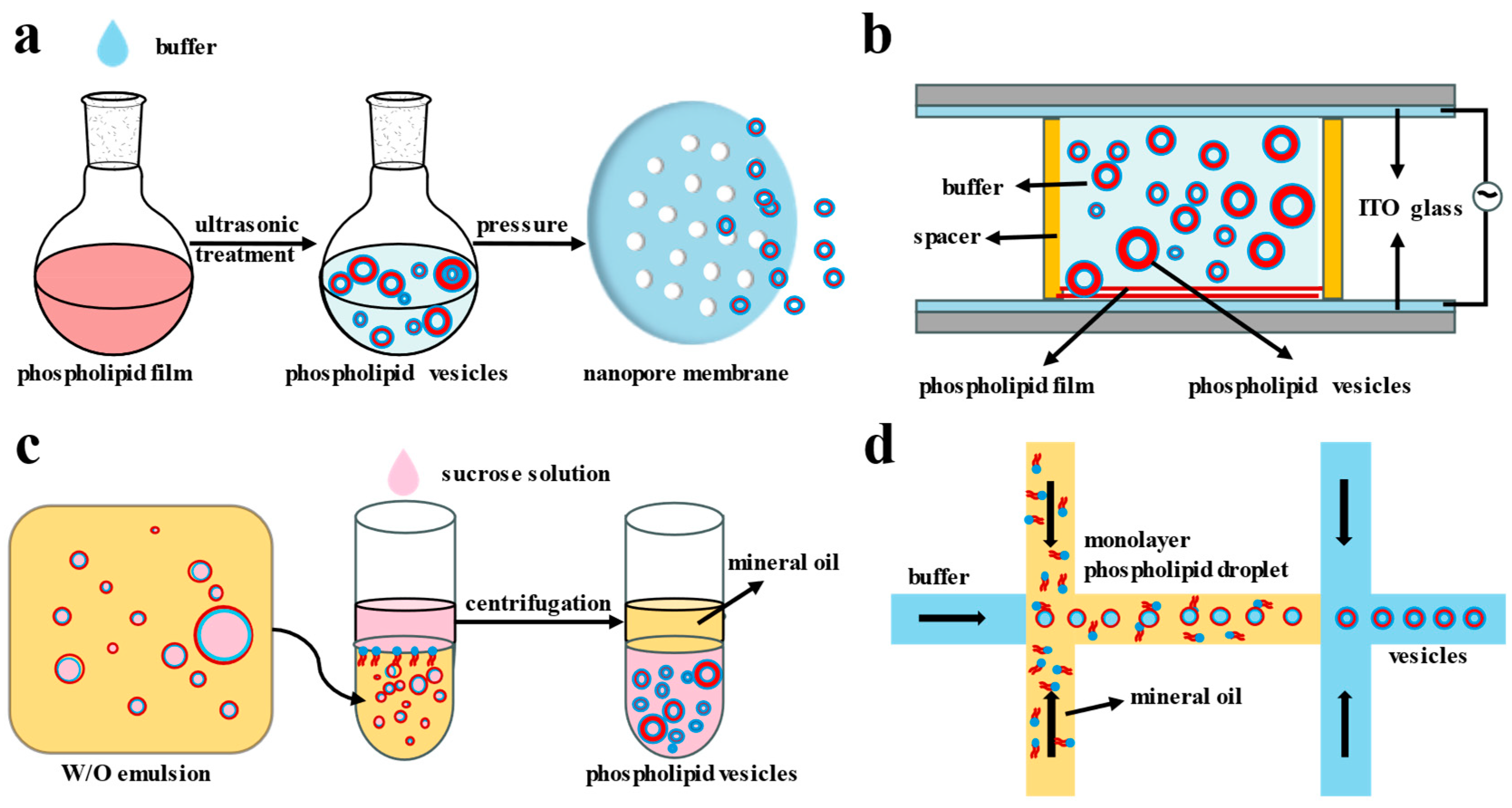 Biomolecules 14 01628 g002 Biomolecules 14 01628 g002