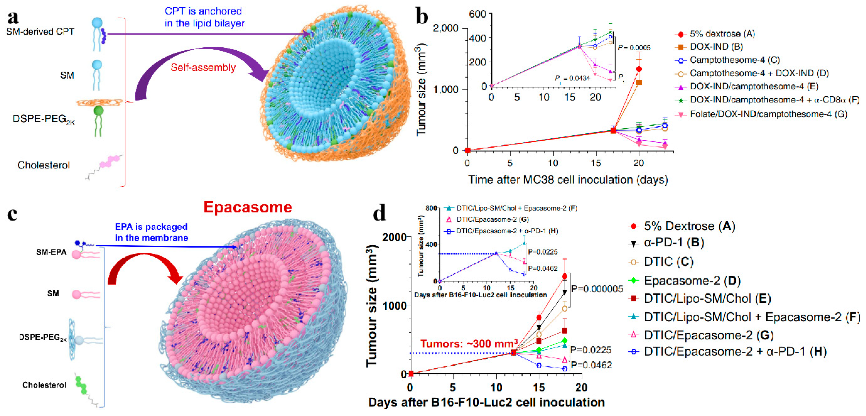 Biomolecules 14 01628 g008 Biomolecules 14 01628 g008