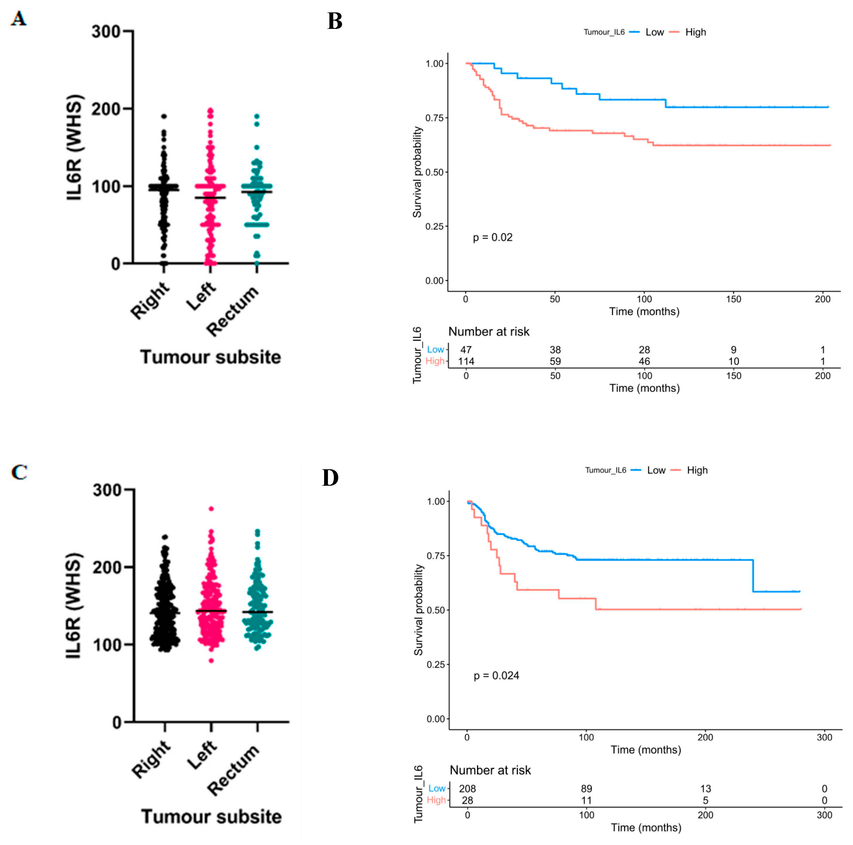 Biomolecules 14 01629 g002