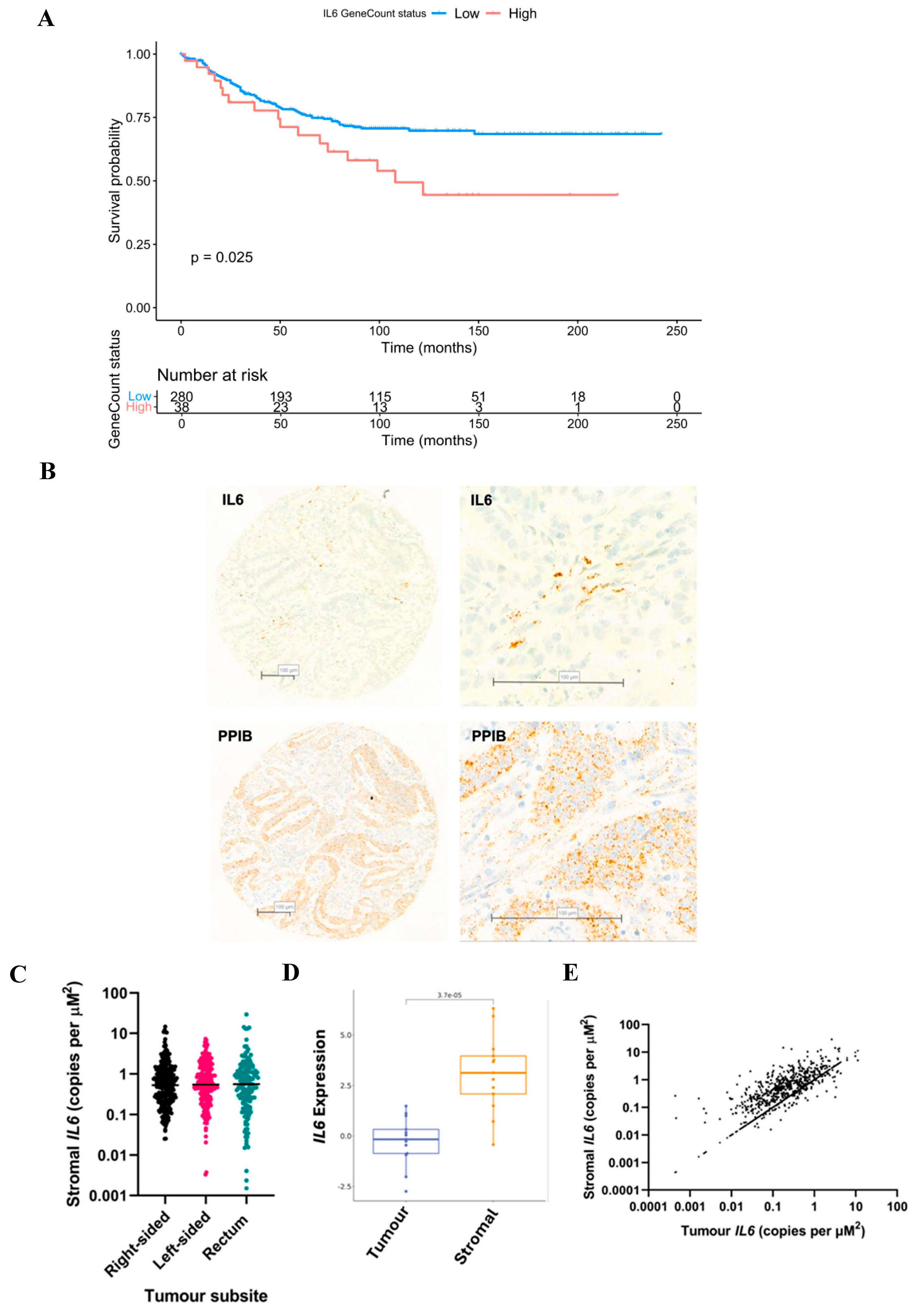 Biomolecules 14 01629 g003