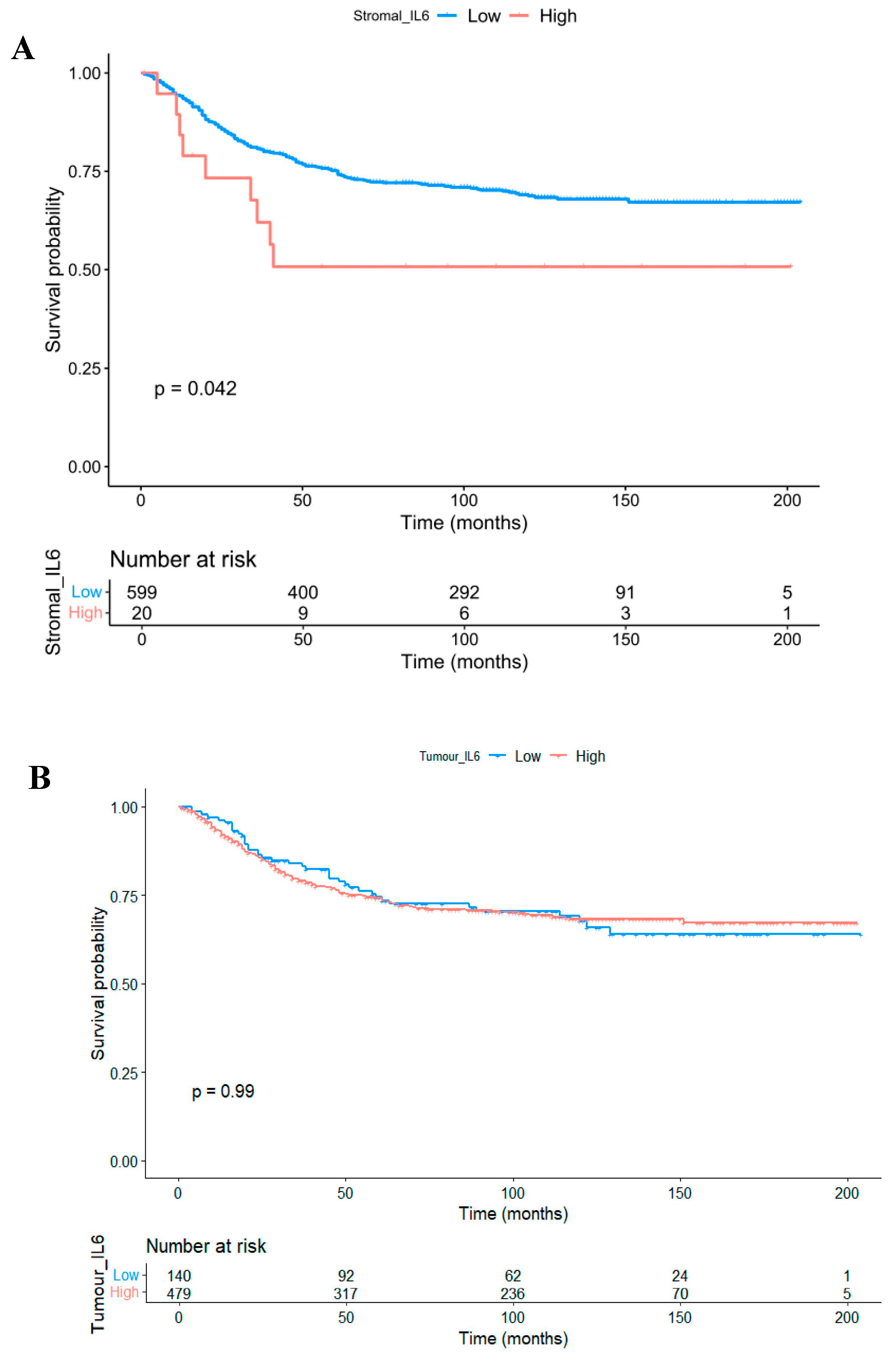 Biomolecules 14 01629 g004
