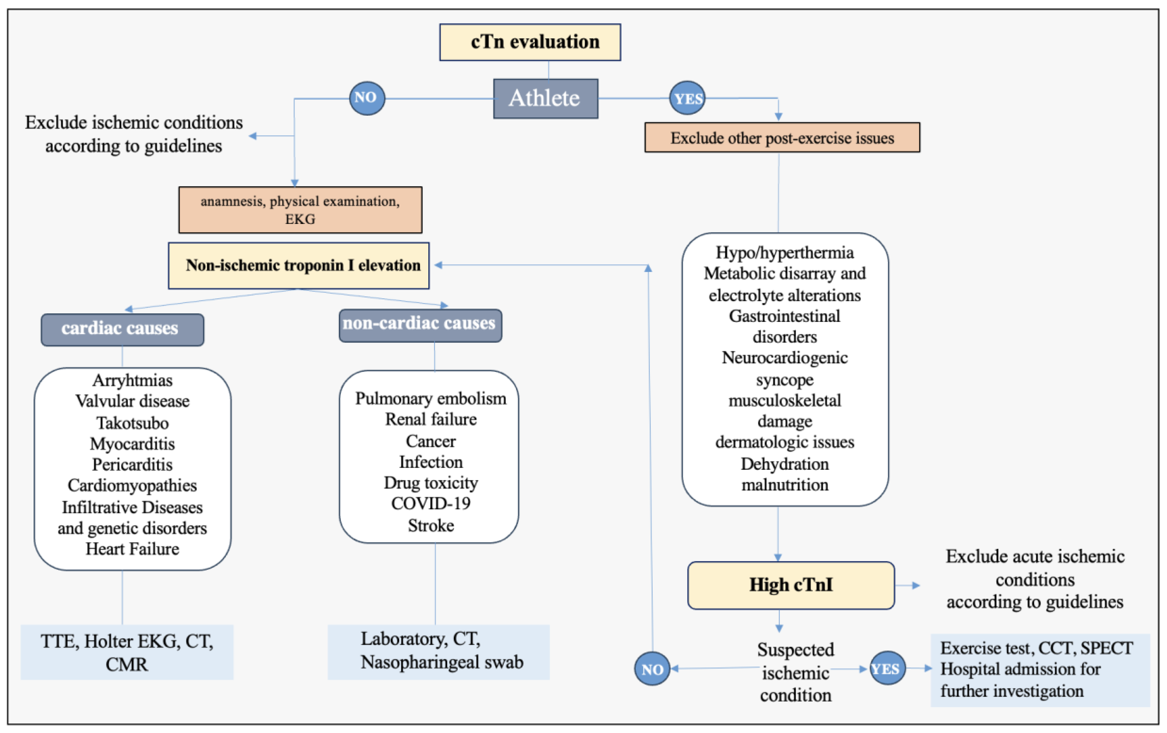 Biomolecules 14 01630 g003