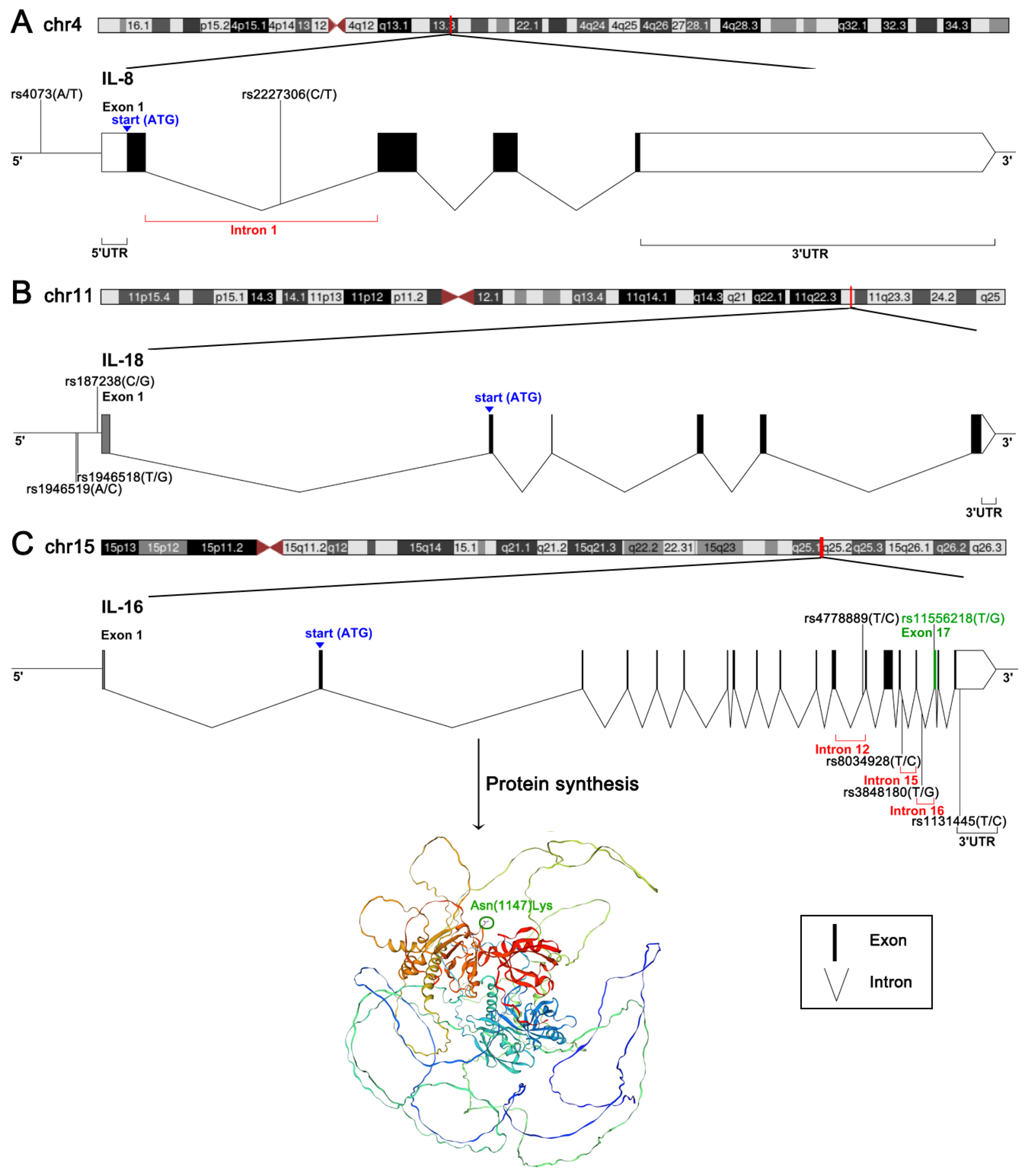 Biomolecules 14 01631 g001 Biomolecules 14 01631 g001