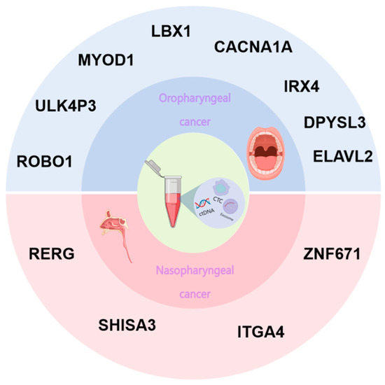 数量限定価格!! Progress Research of Methylation DNA on Based Biopsy Liquid パンツ