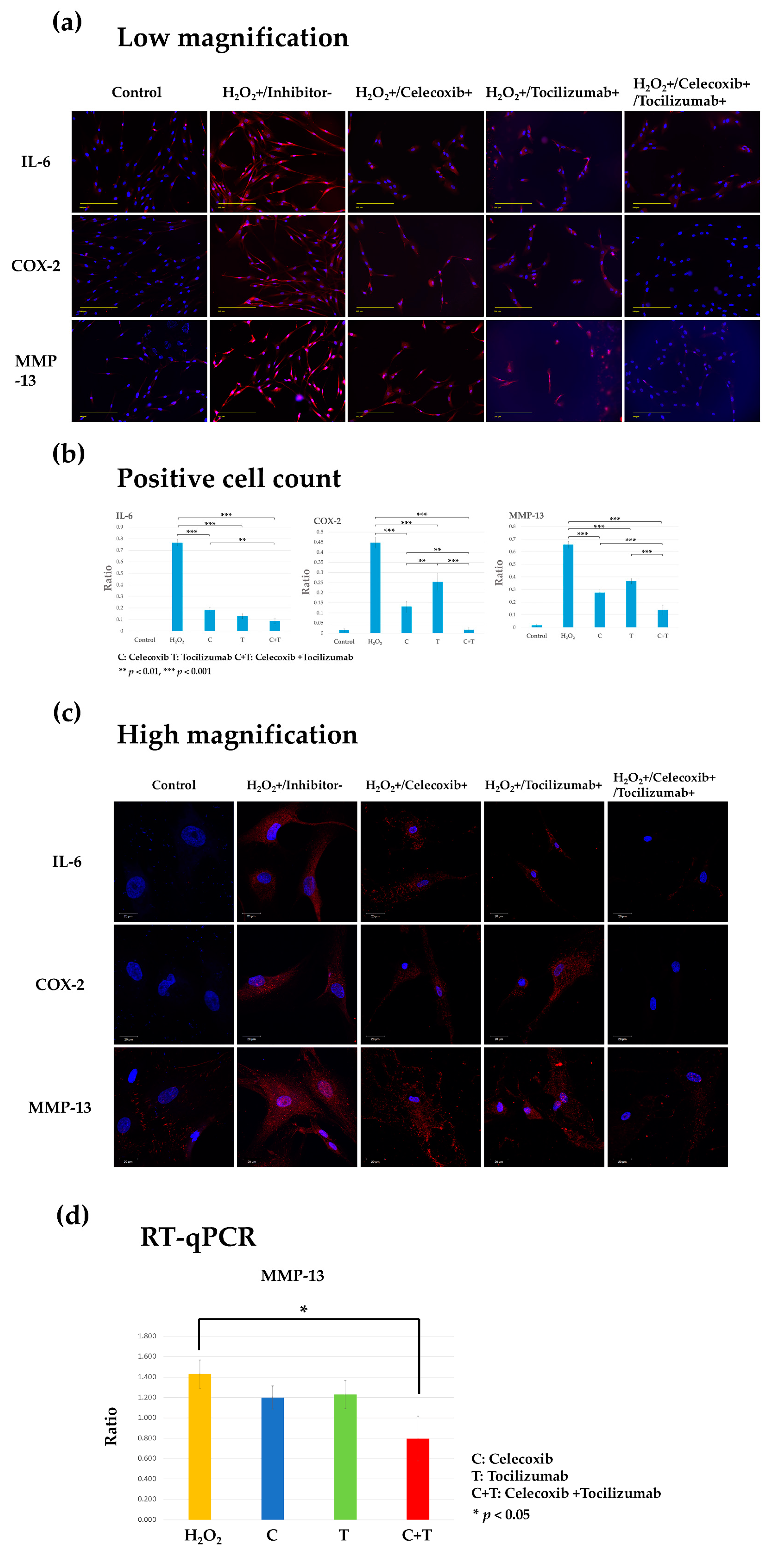 Biomolecules 14 01636 g004 Biomolecules 14 01636 g004