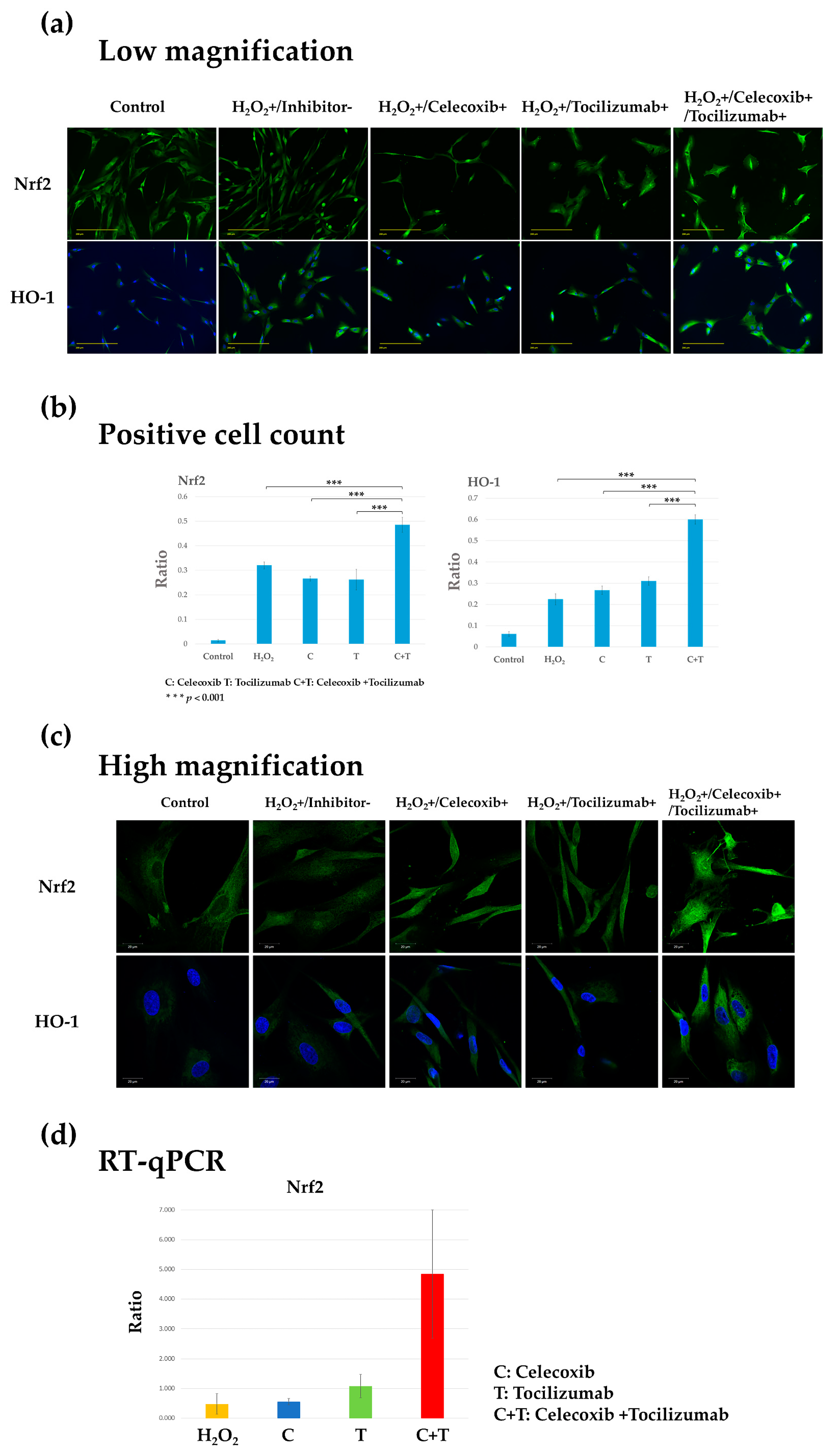 Biomolecules 14 01636 g005 Biomolecules 14 01636 g005
