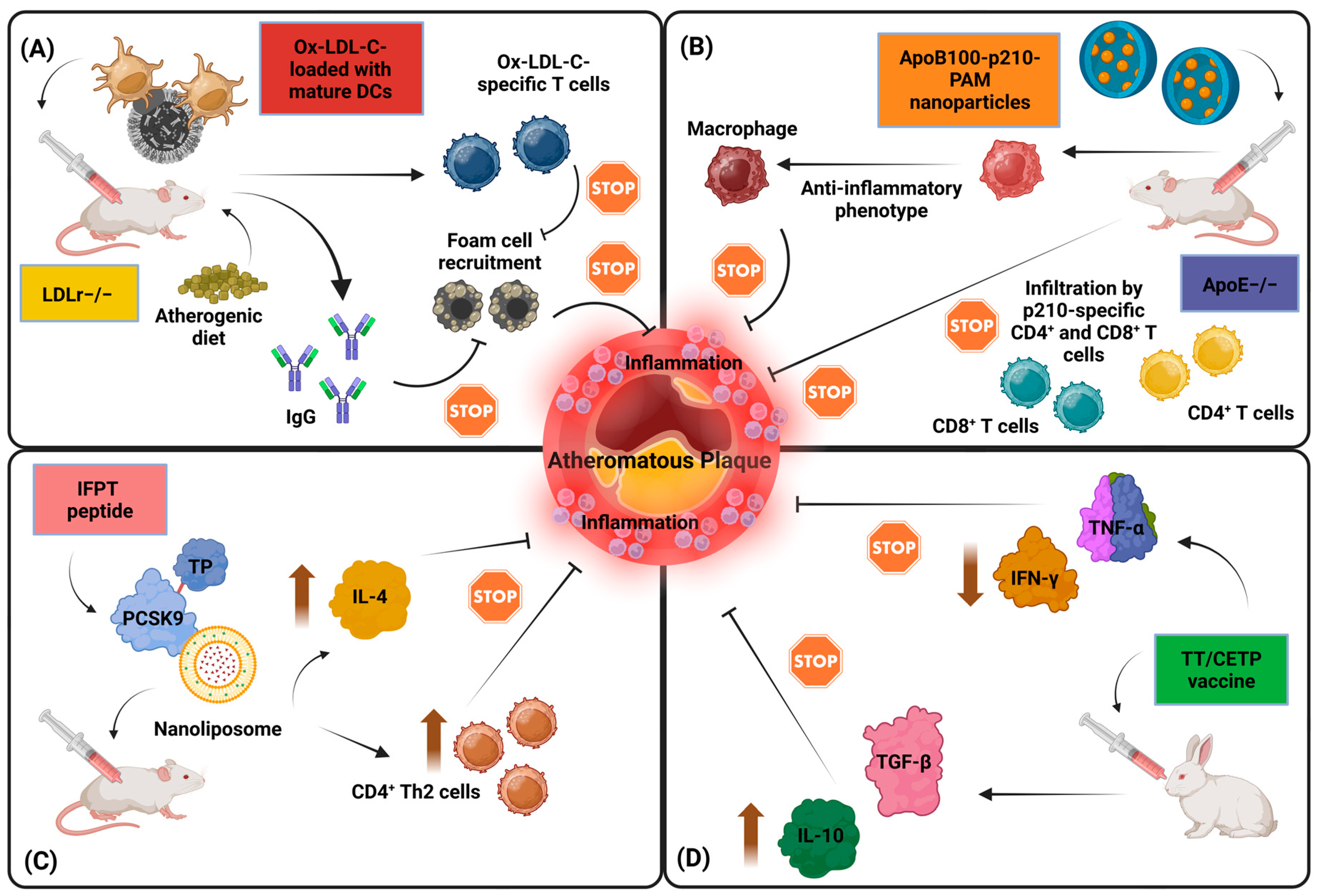 Biomolecules 14 01637 g002