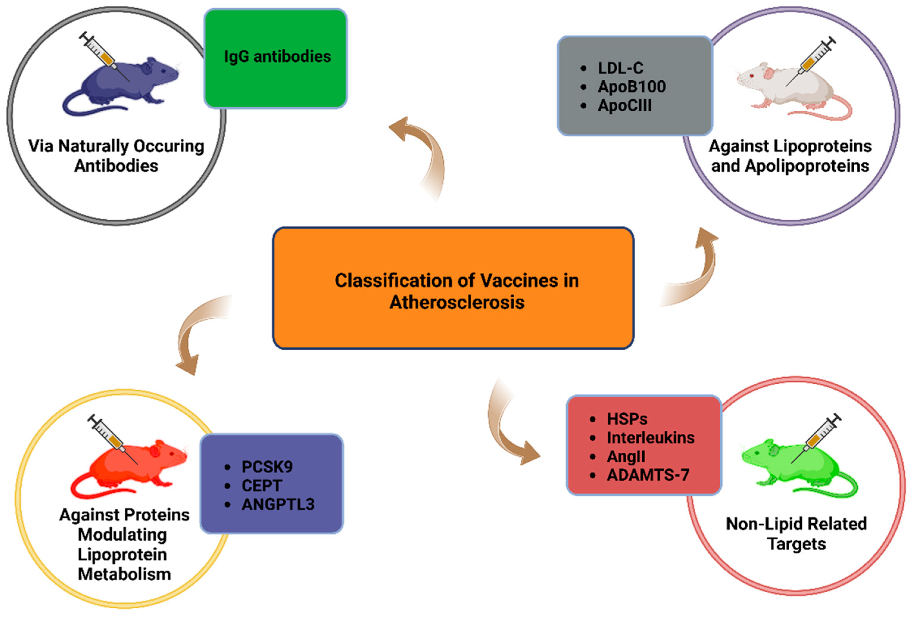 Biomolecules 14 01637 g003