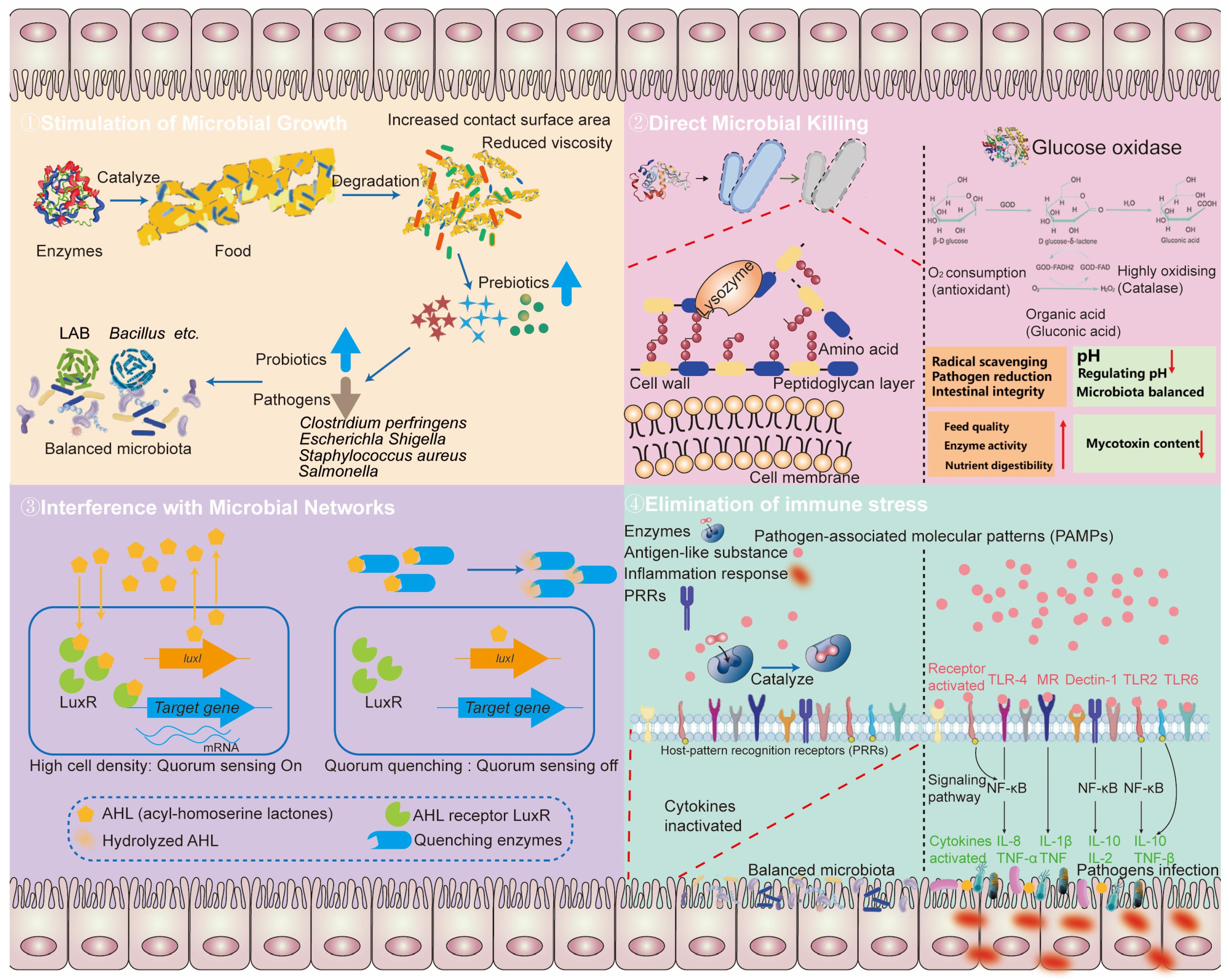 Biomolecules 14 01638 g002