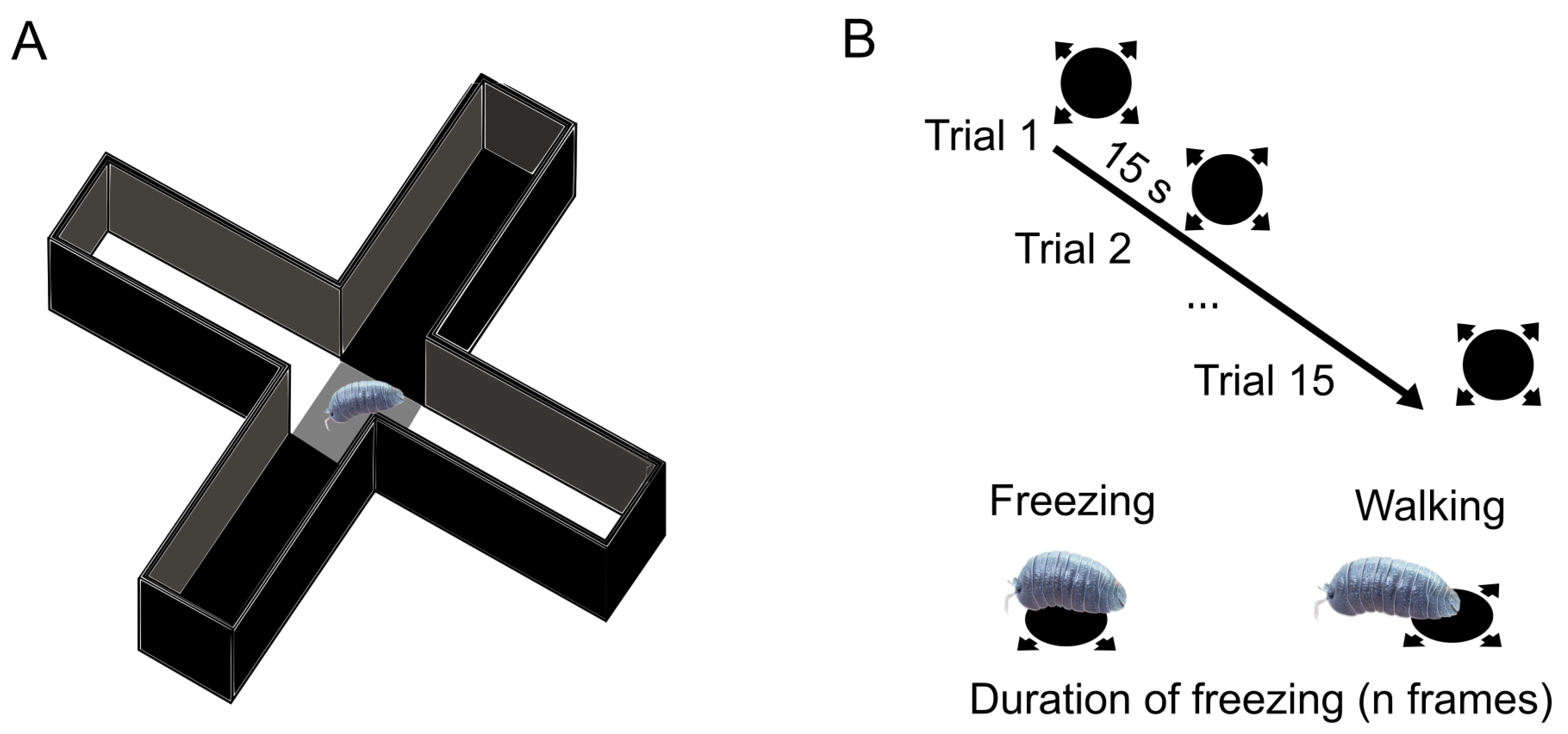 Biomolecules 14 01640 g001