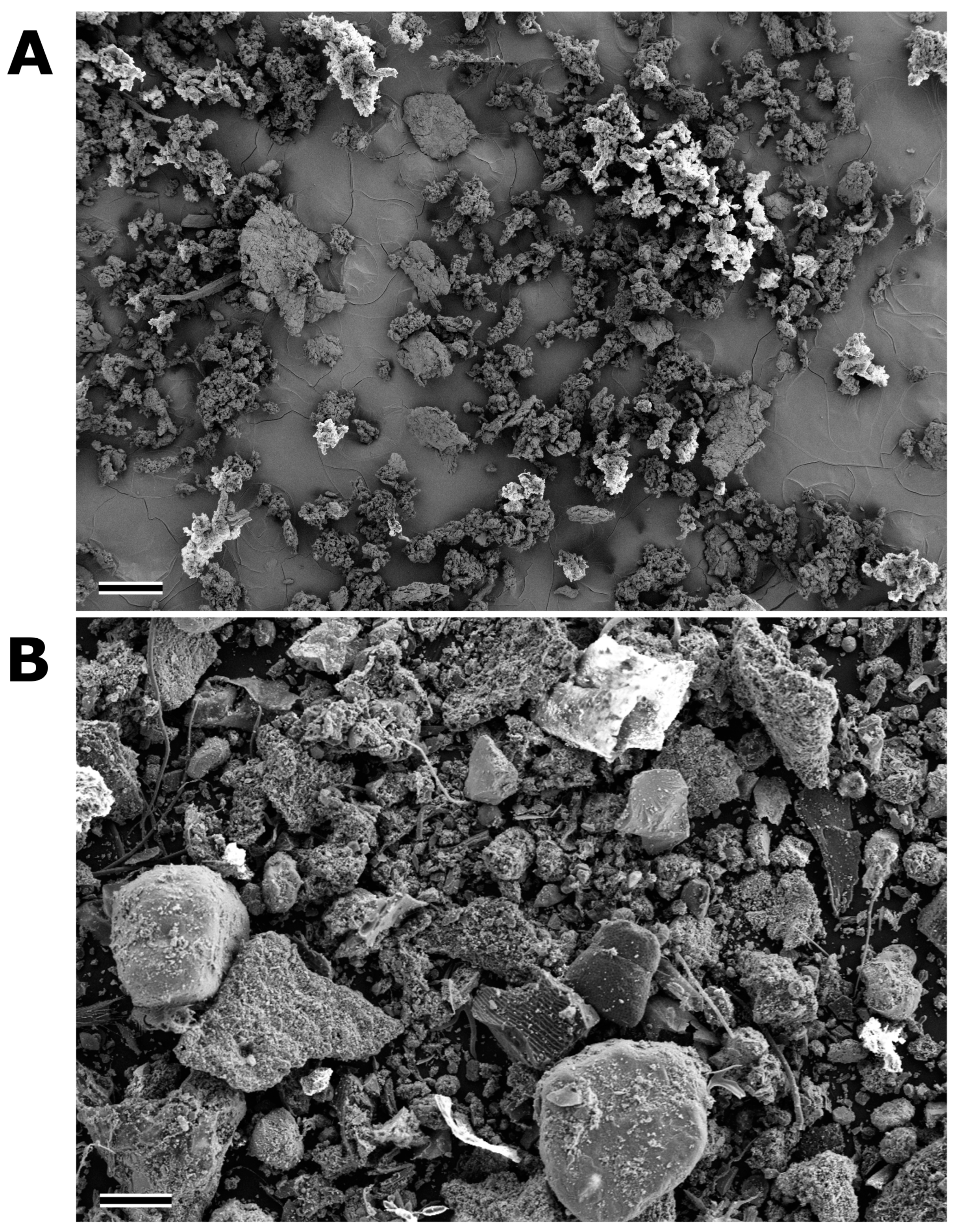 Biomolecules 14 01640 g002