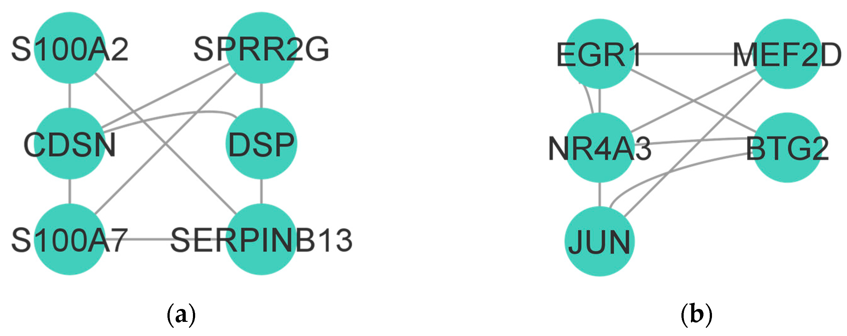 Biomolecules 14 01641 g002