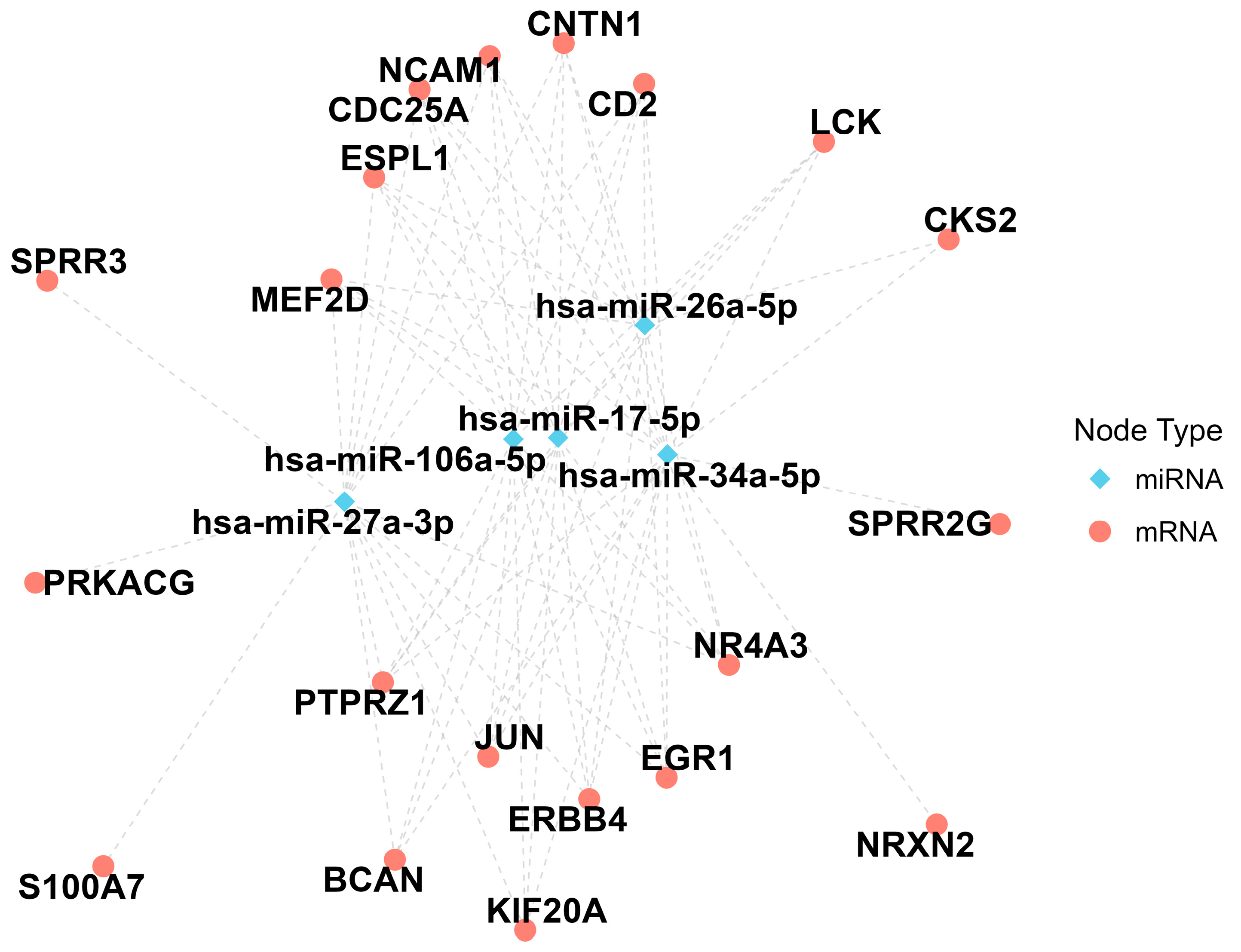 Biomolecules 14 01641 g006