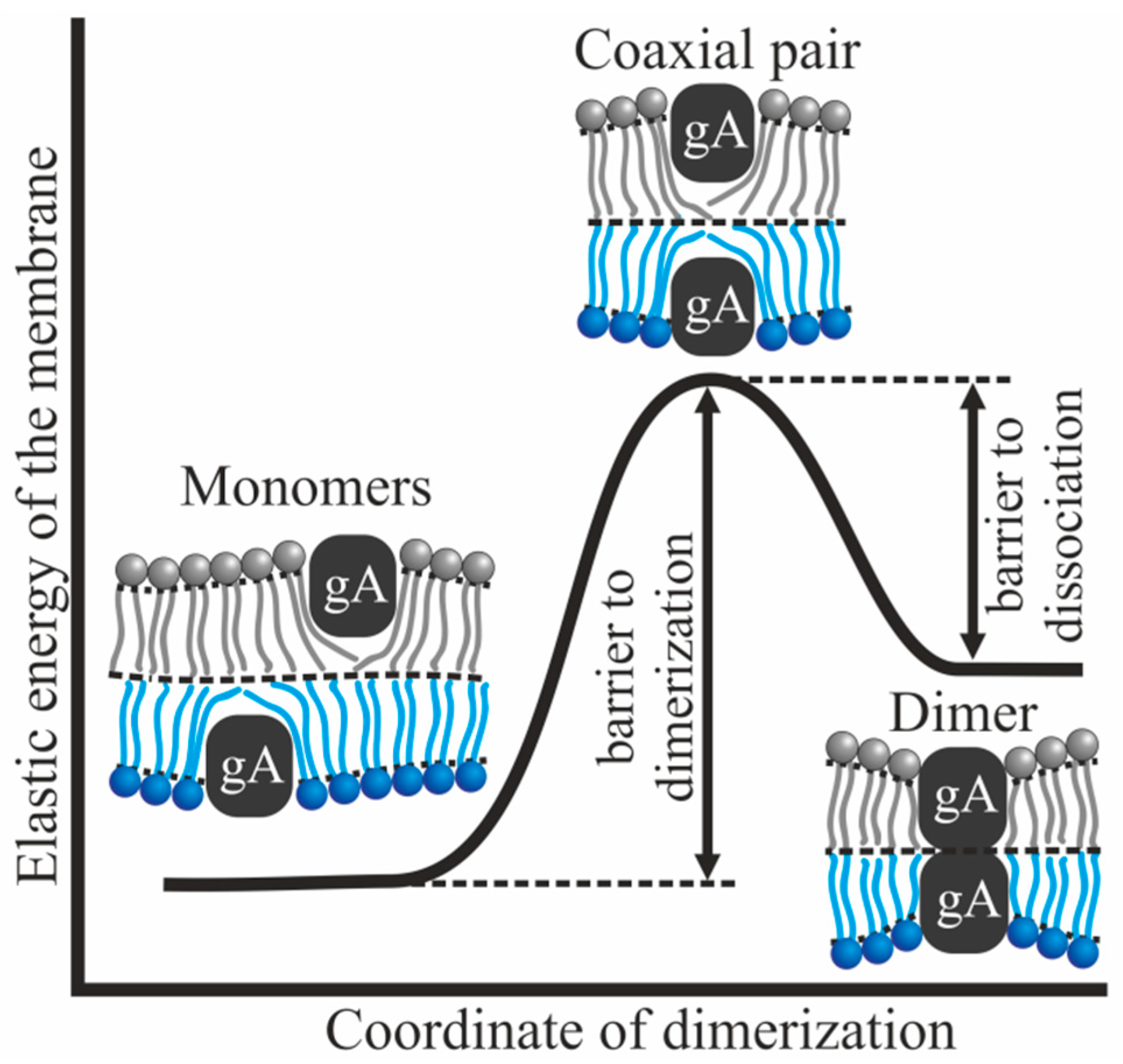 Biomolecules 14 01642 g001