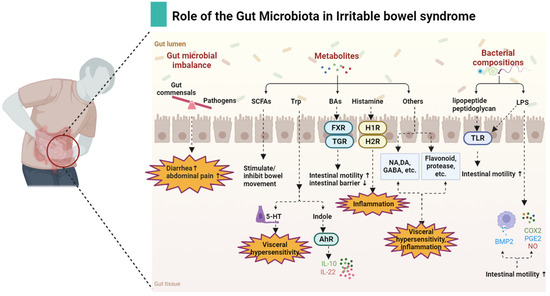 Comparative transcriptomic analysis reveals the gut-brain