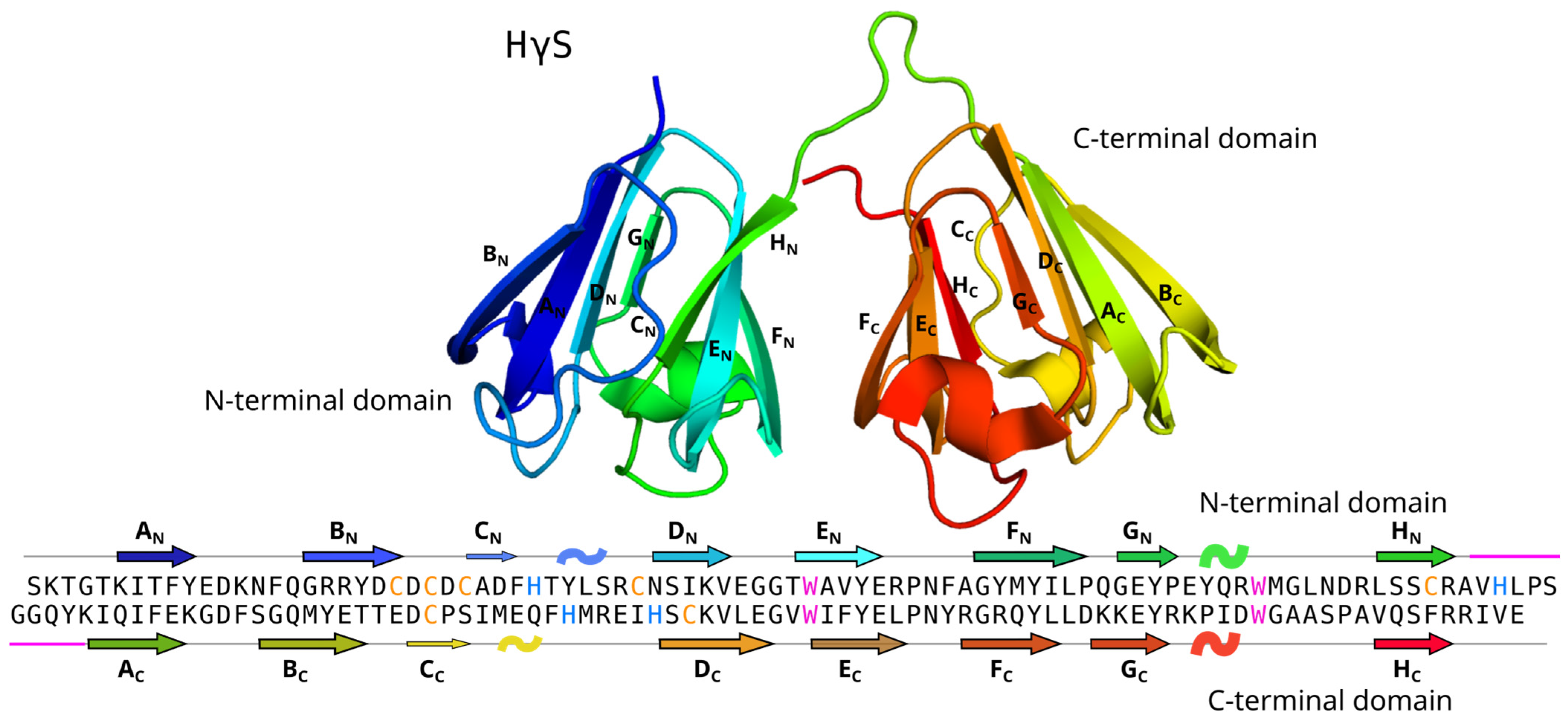 Biomolecules 14 01644 g001