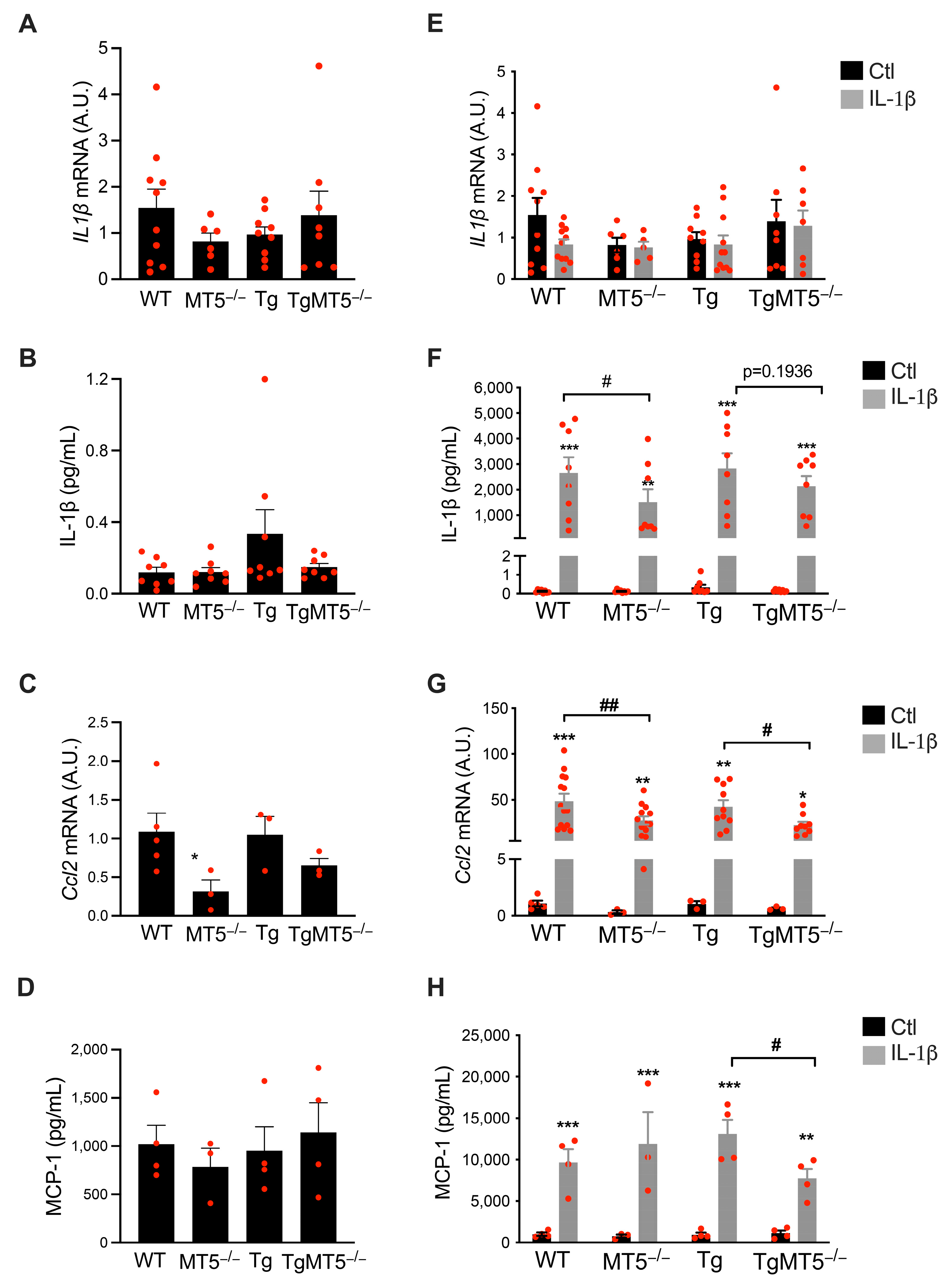 Biomolecules 14 01645 g002 Biomolecules 14 01645 g002