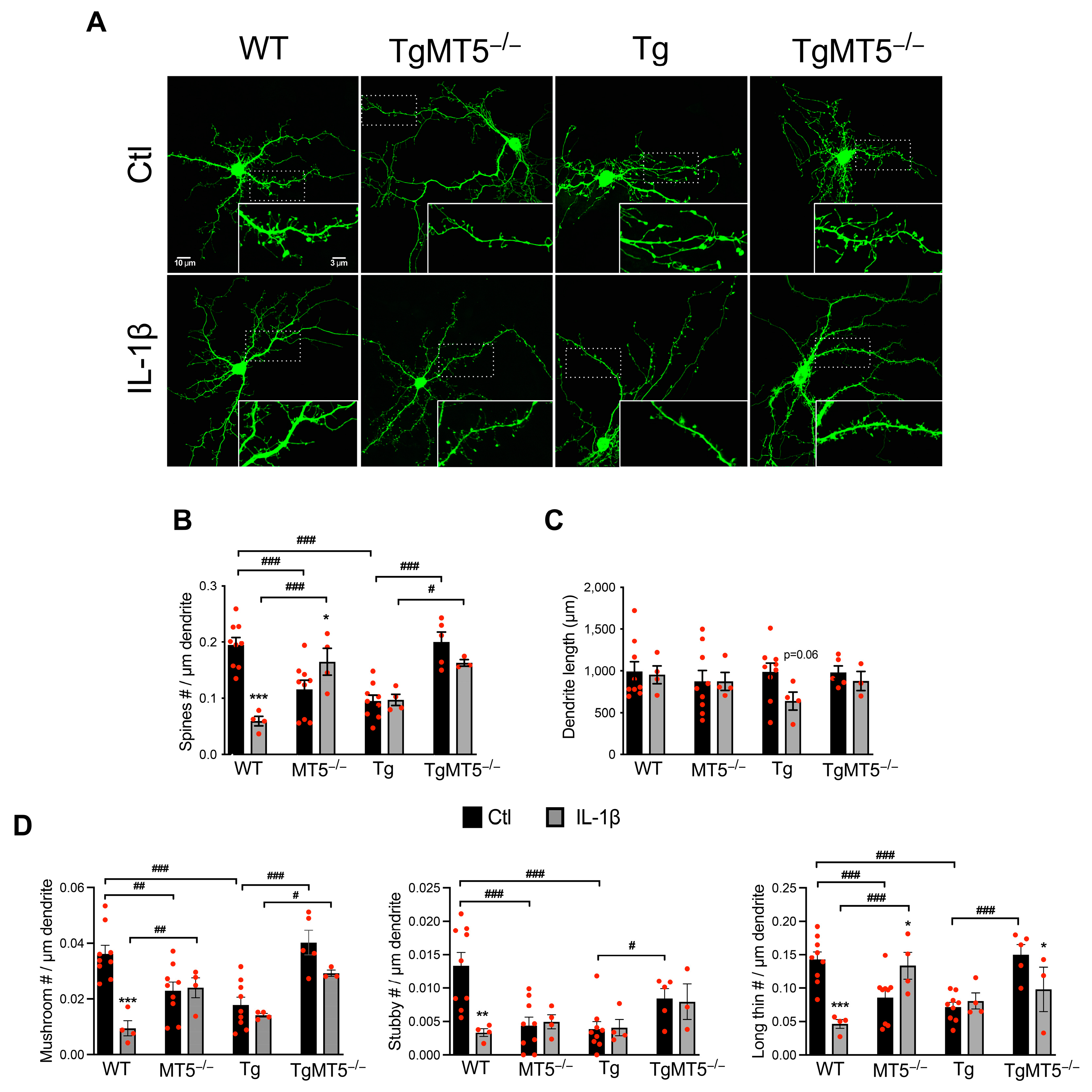 Biomolecules 14 01645 g003 Biomolecules 14 01645 g003