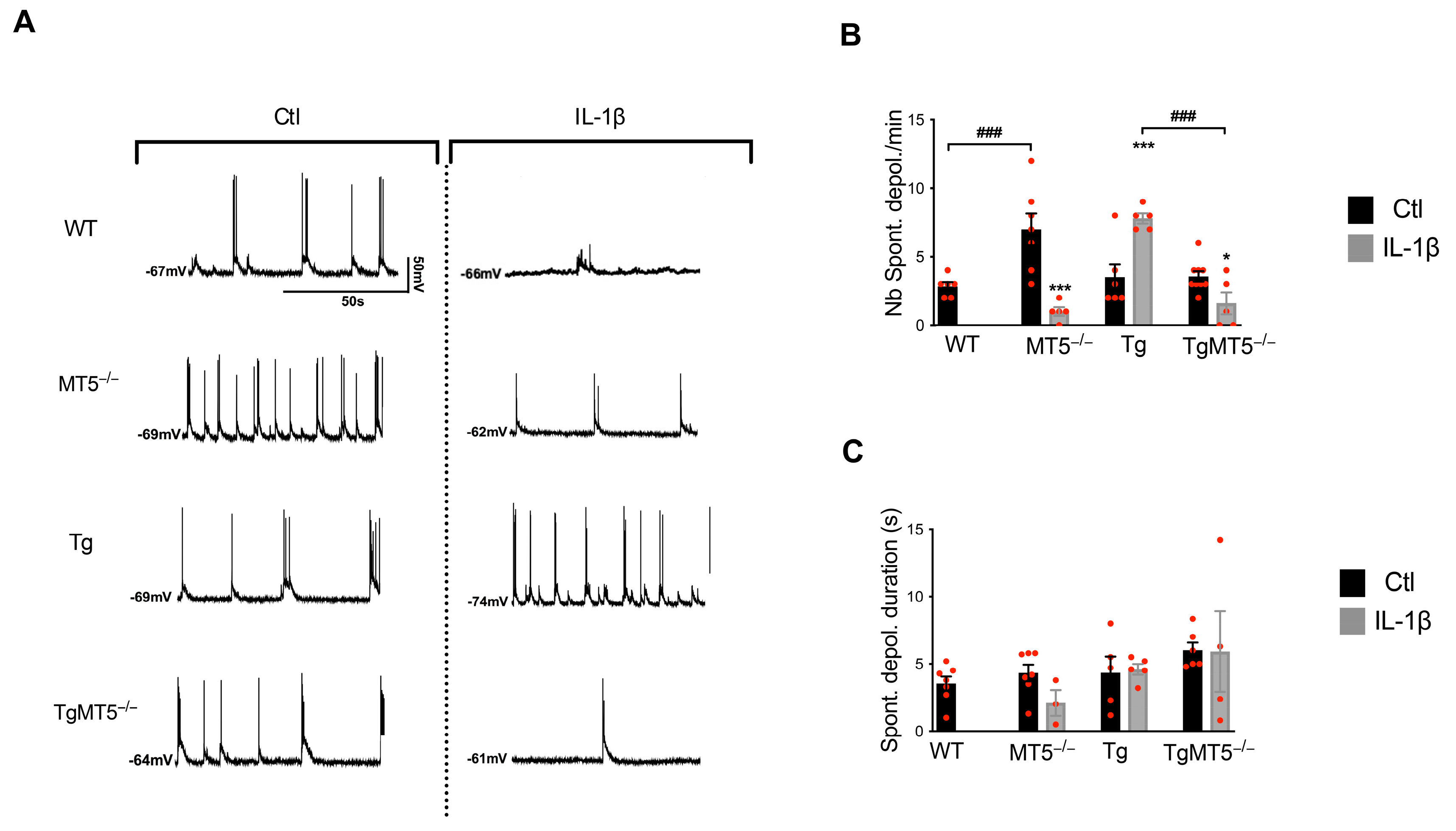 Biomolecules 14 01645 g004 Biomolecules 14 01645 g004